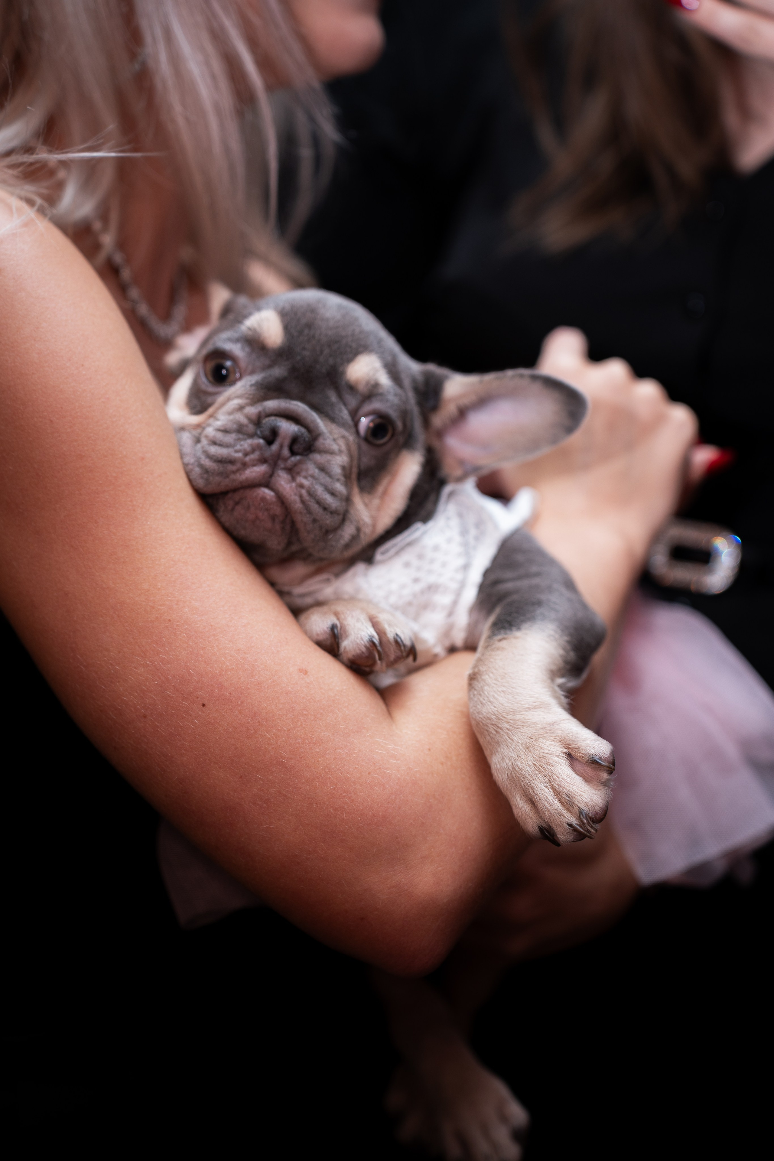 Anastasia's birthday. Креативный и коммерческий фотограф в Москве Алёна Куликова