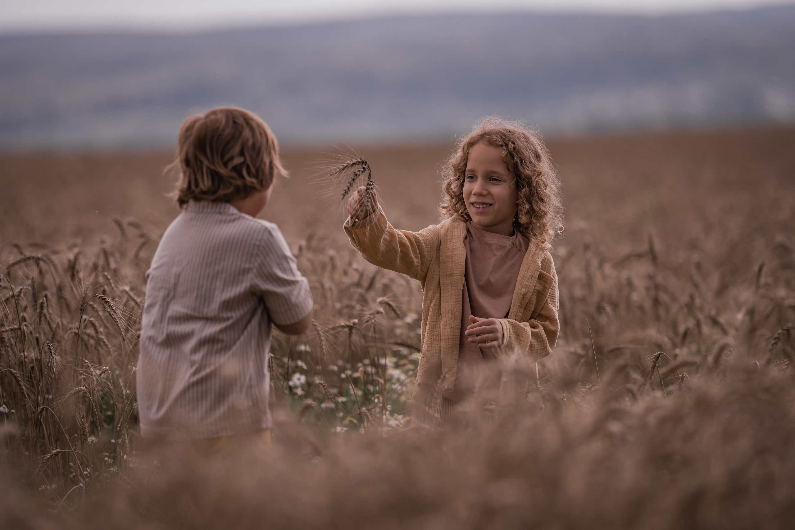 Пшеничное поле, август. Семейный фотограф Ефремова Виктория
