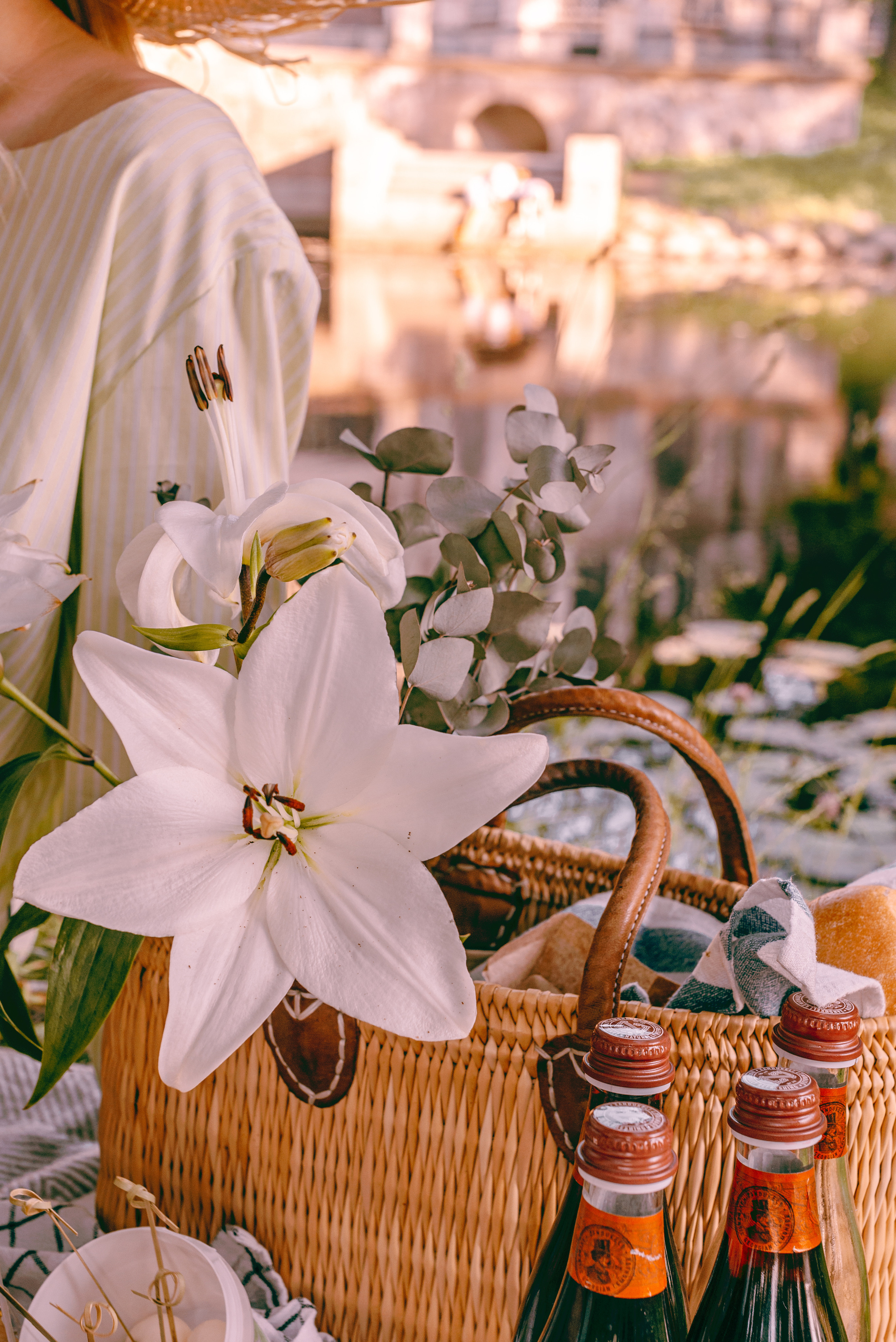 Daria. Семейный, Свадебный фотограф СПБ Питер— Романова Екатерина