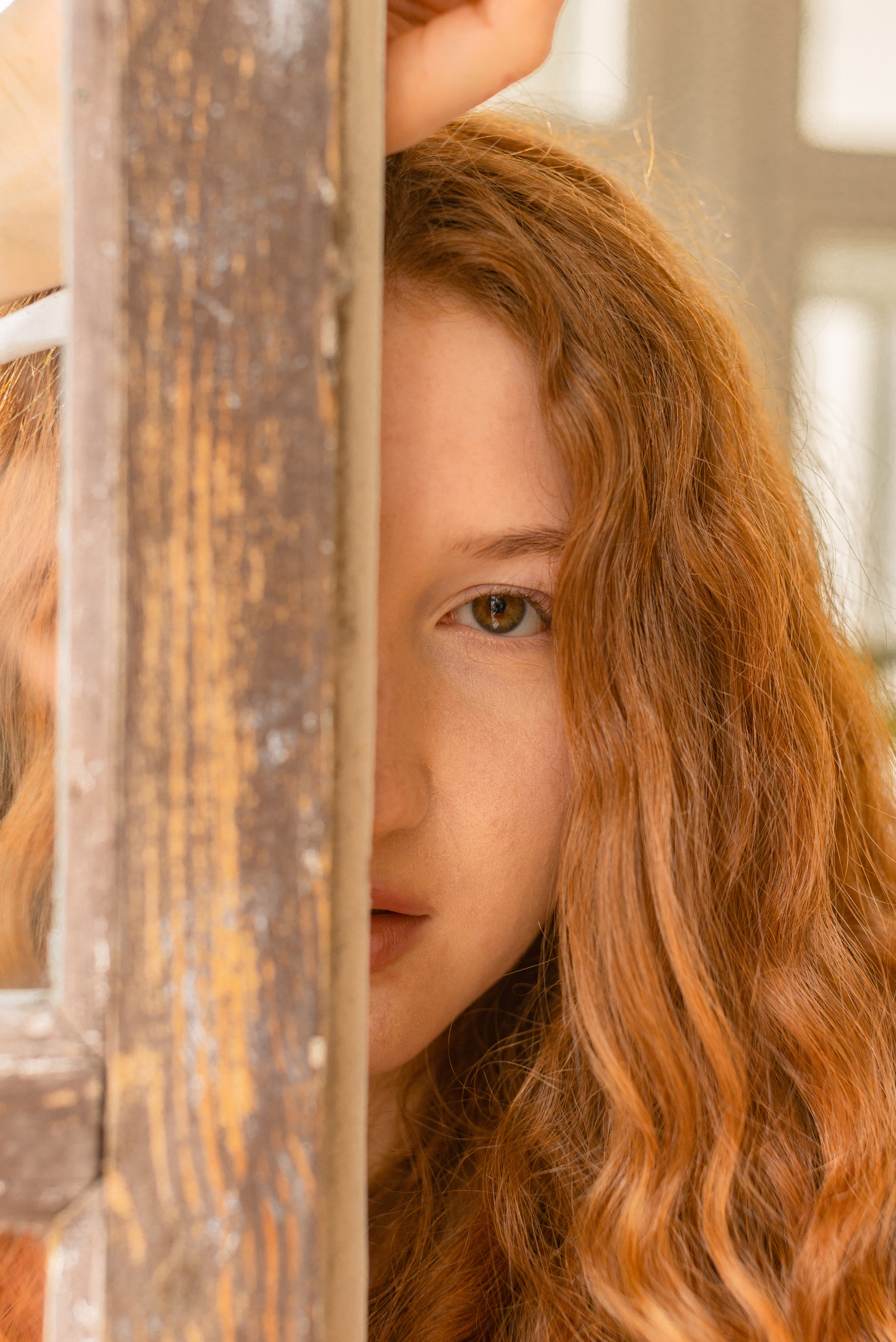 Ginger. Семейный, Свадебный фотограф СПБ Питер— Романова Екатерина