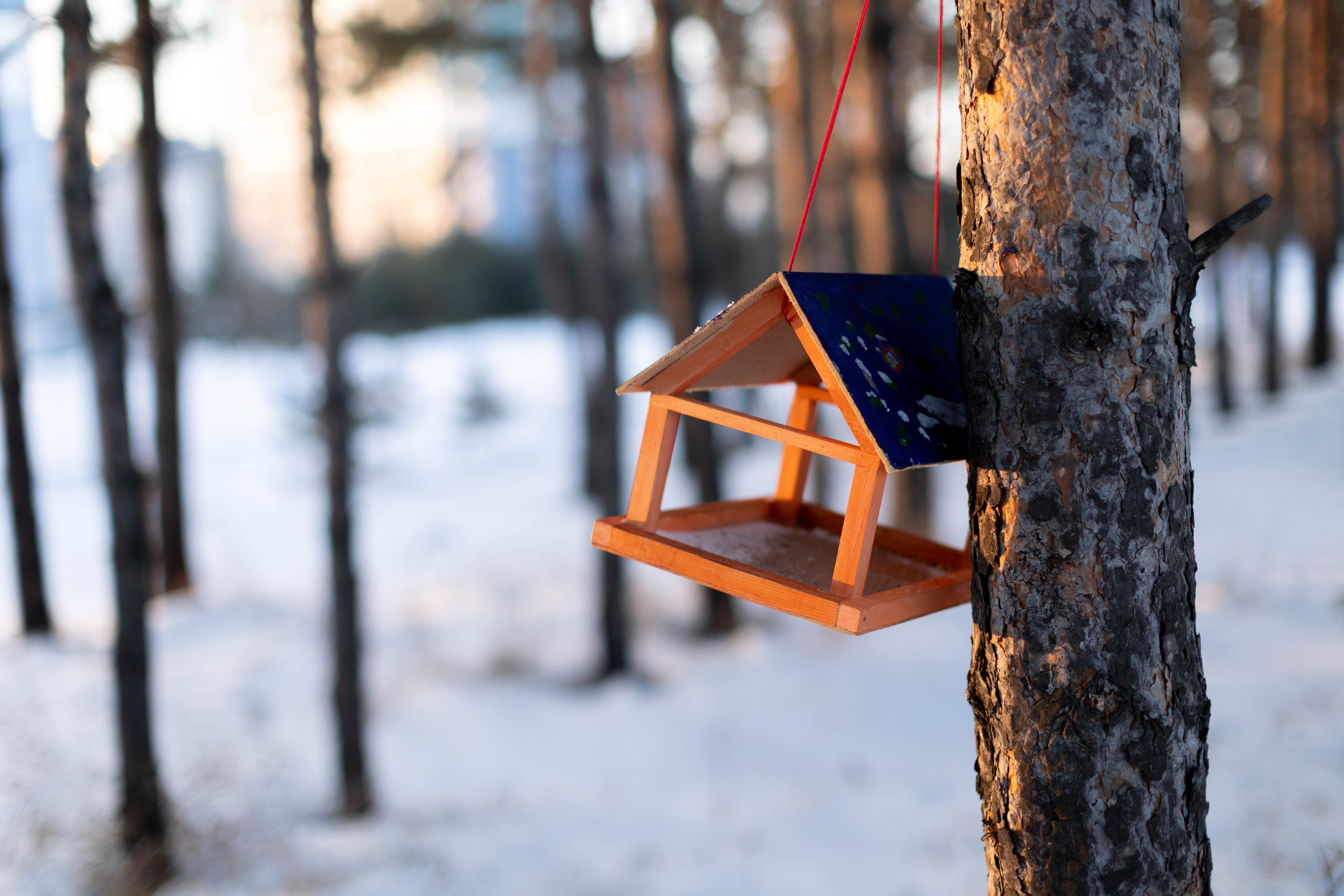 Зимняя прогулка. Art my Pho