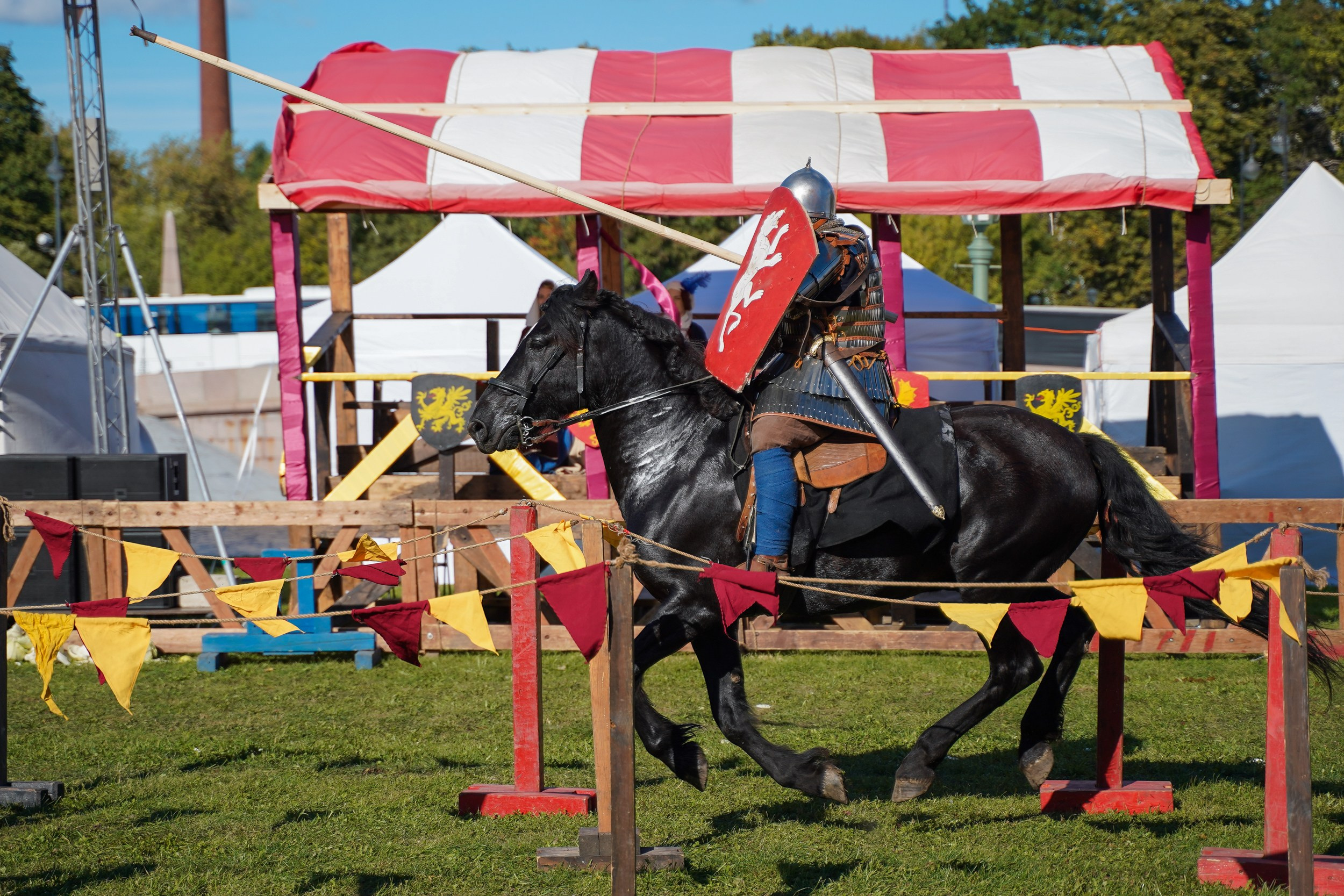 Рыцарский турнир в рамках фестиваля «Битва на Неве» Санкт-Петербург 2024 г. Фотограф-анималист, портретный фотограф в Чебоксарах Мария Садыкова