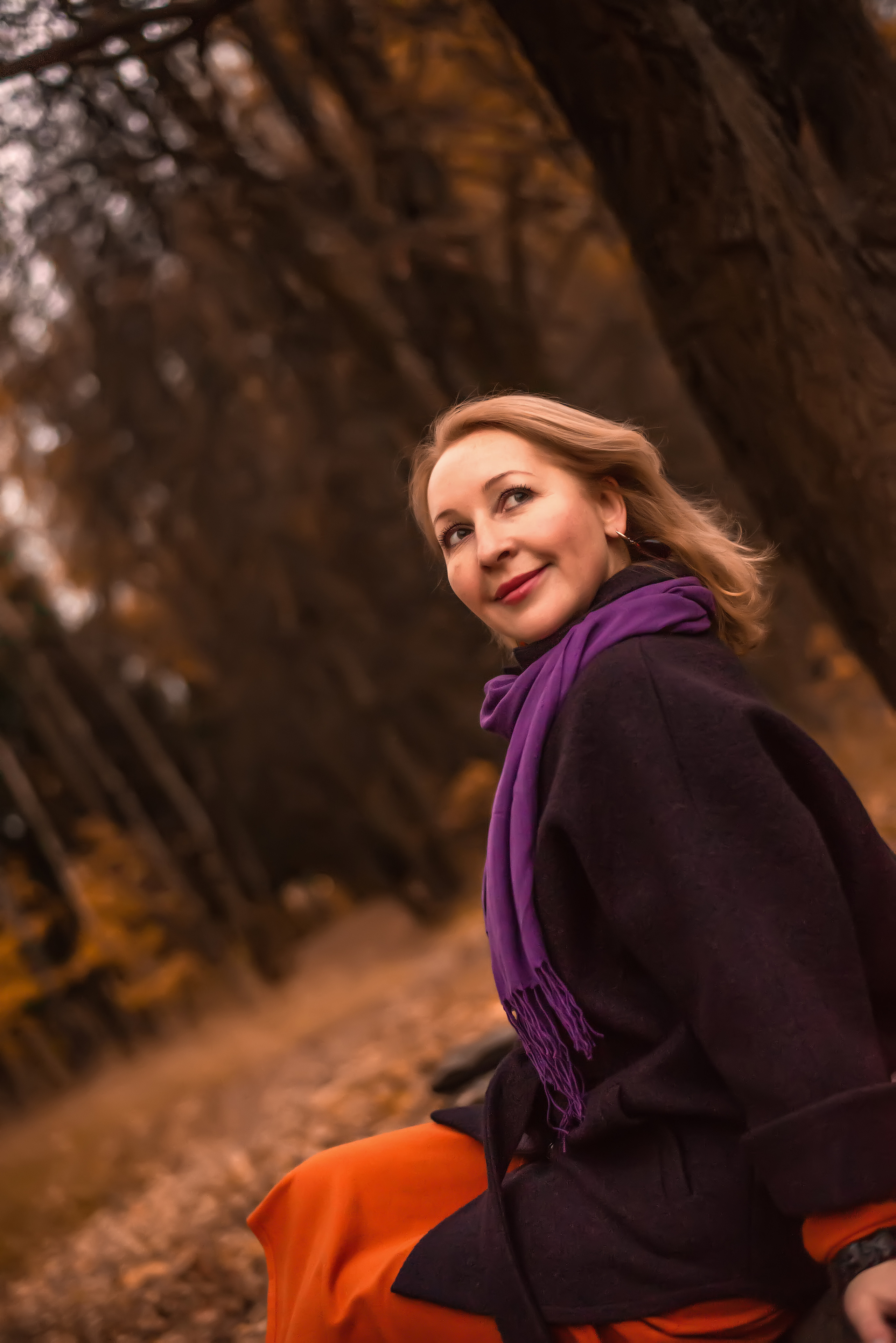 Золотая осень в лесу