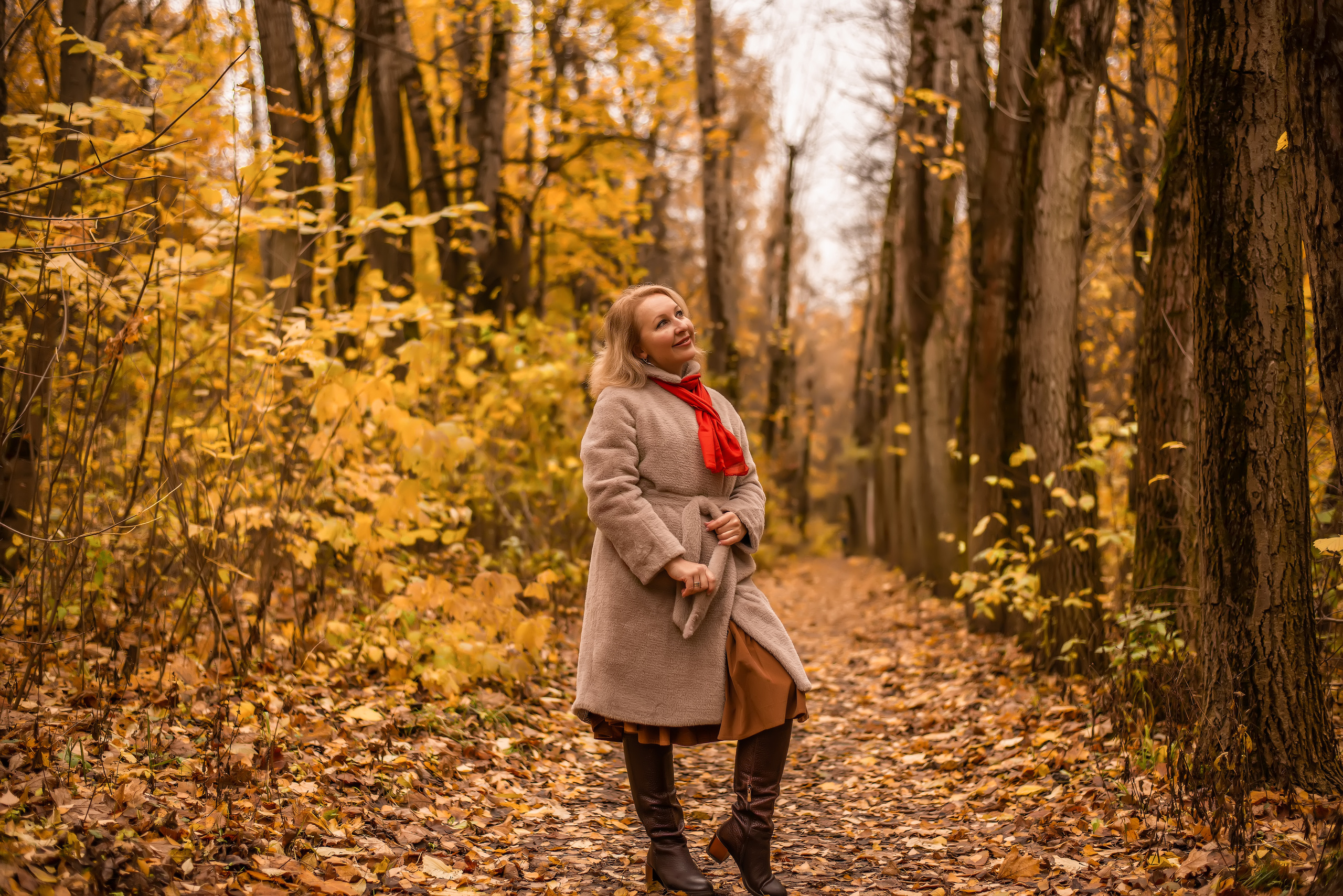 Настроение осень