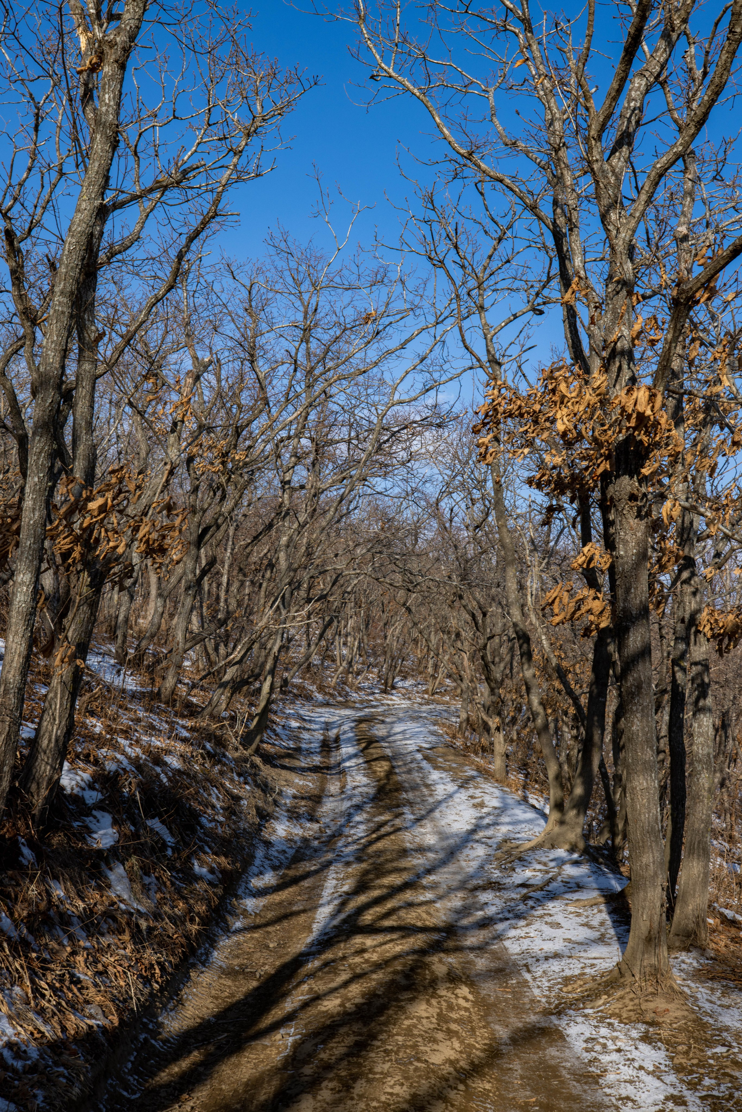 Мыс Тобизина. Турист оптимист