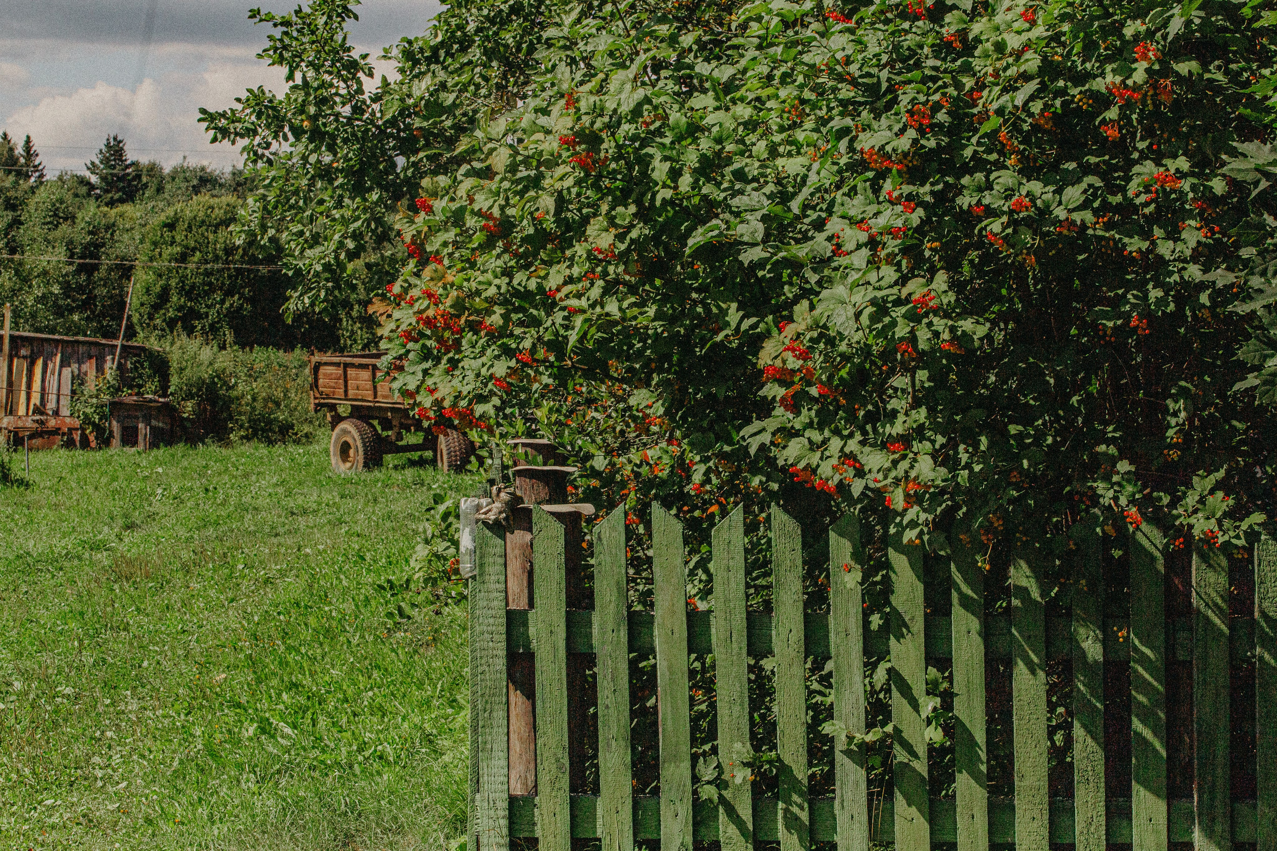 РЫБИНСКИЙ РАЙОН. Культурный кросс