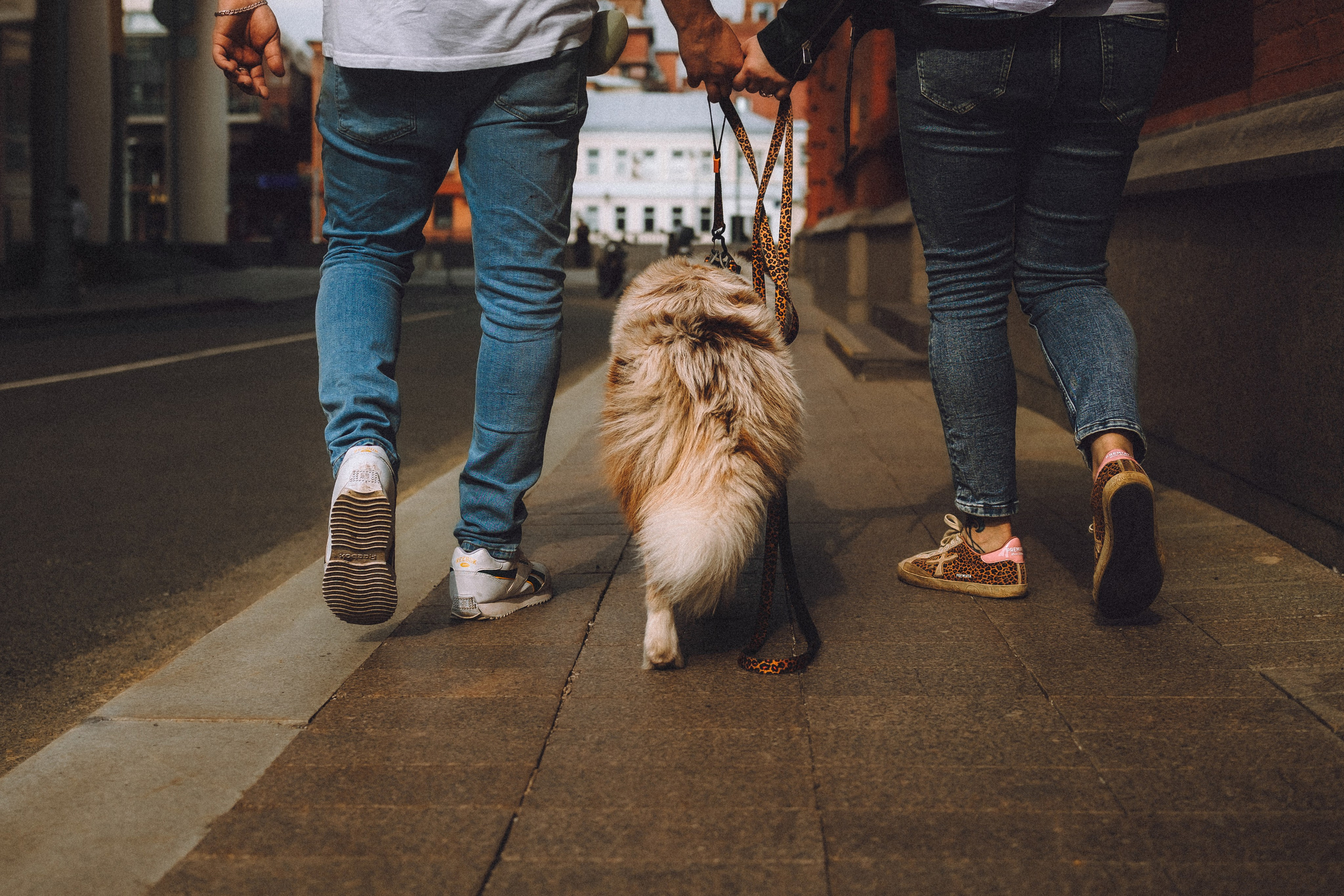 Один и его семья