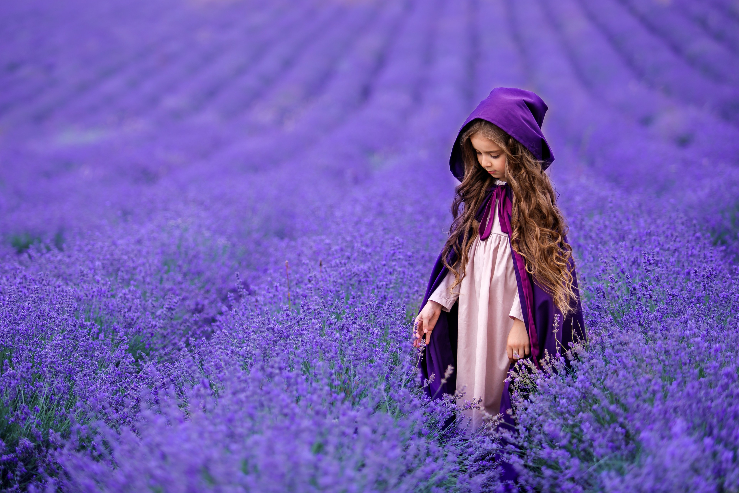 Лаванда. Сказочный фотограф Марьяна Сердюк. Москва, Дмитров и весь мир