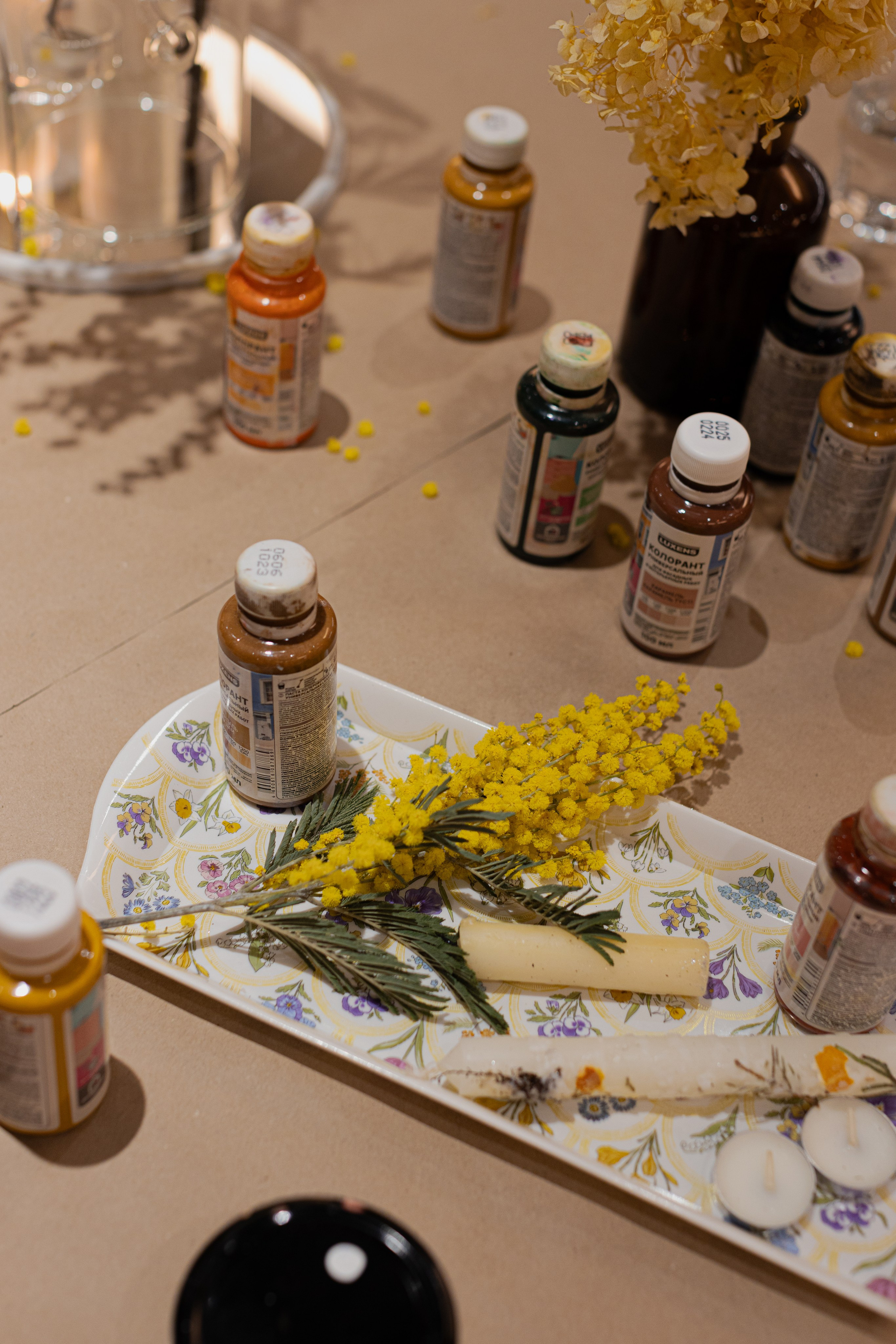 МК Мимоза. Анастасия Ракчеева Художник