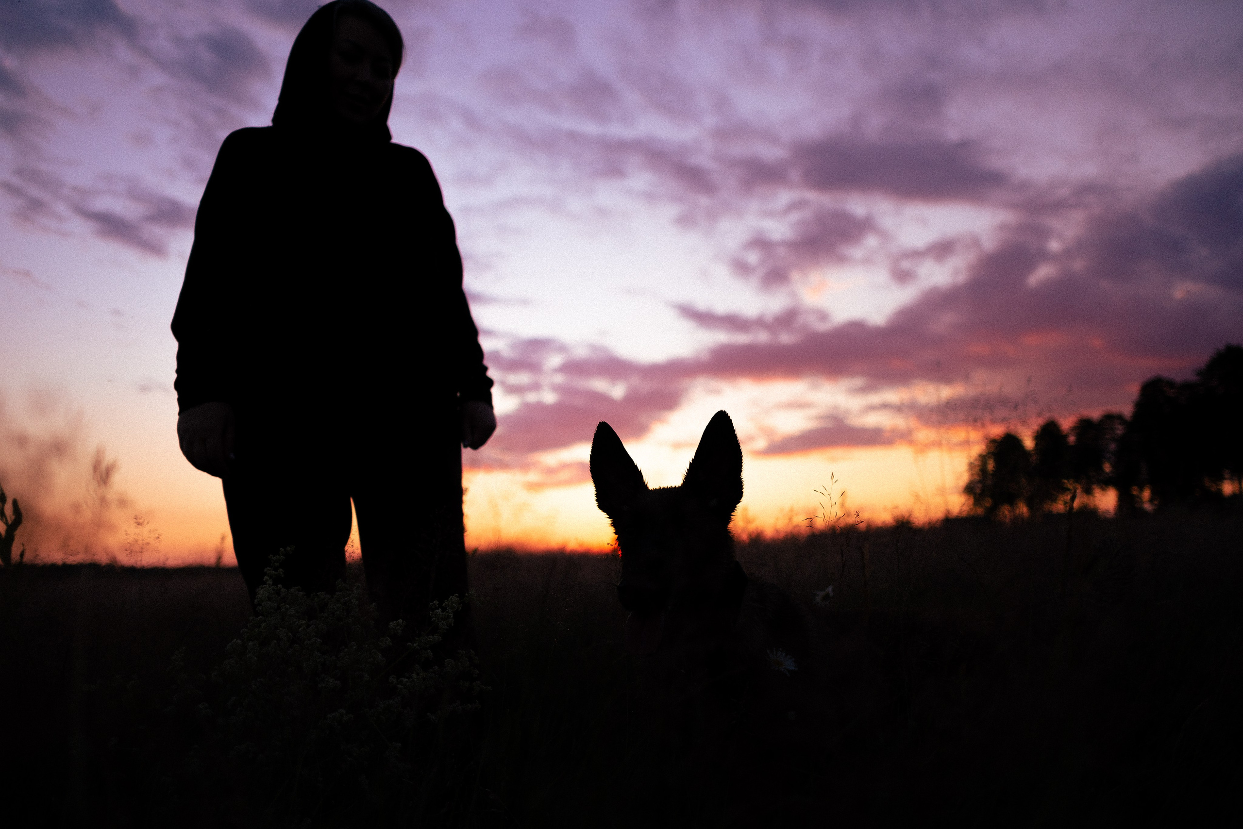 Галина и Лоя. Фотограф и видеограф анималист Аганина Дарья