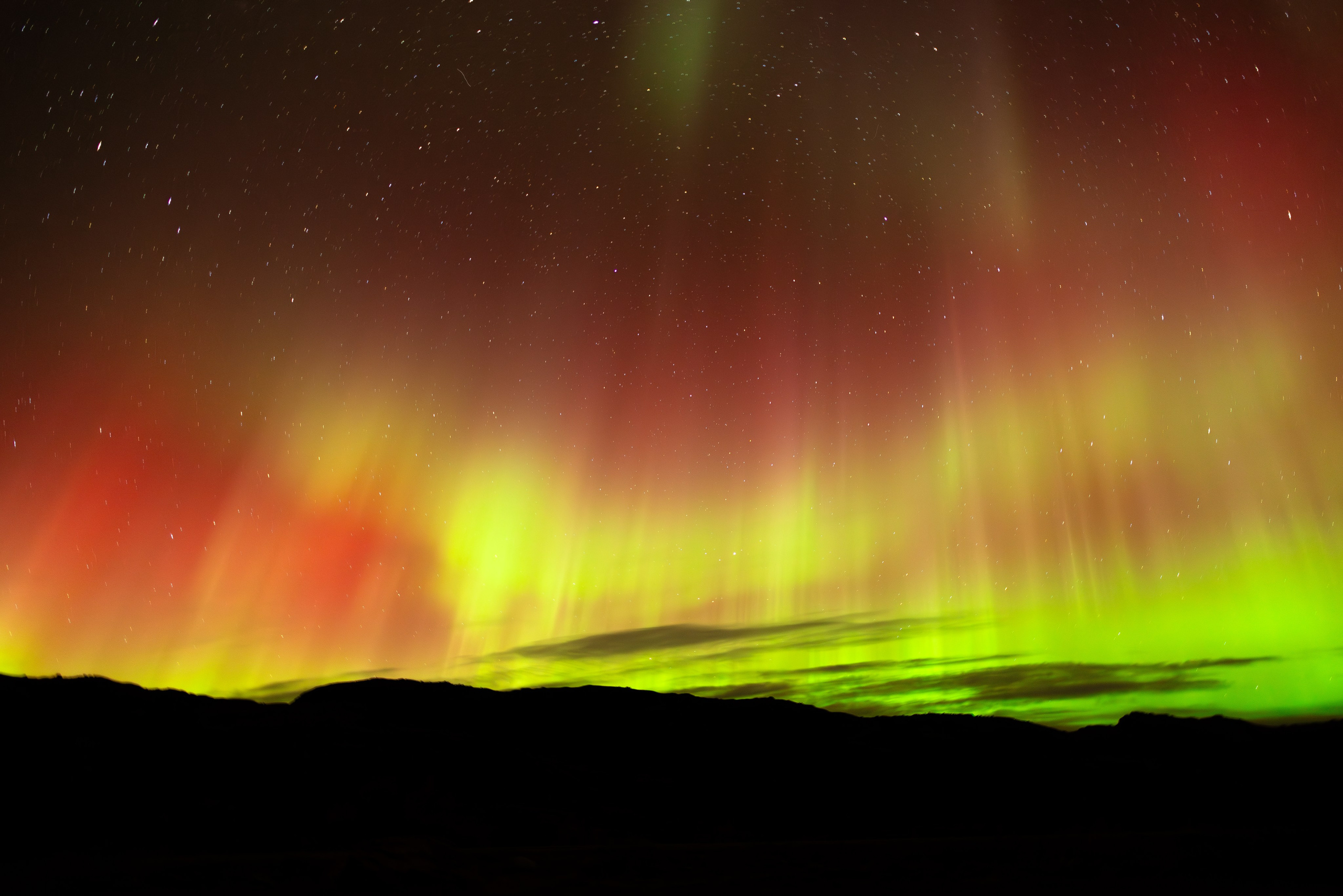 Кольский. Фотограф и видеограф анималист Аганина Дарья