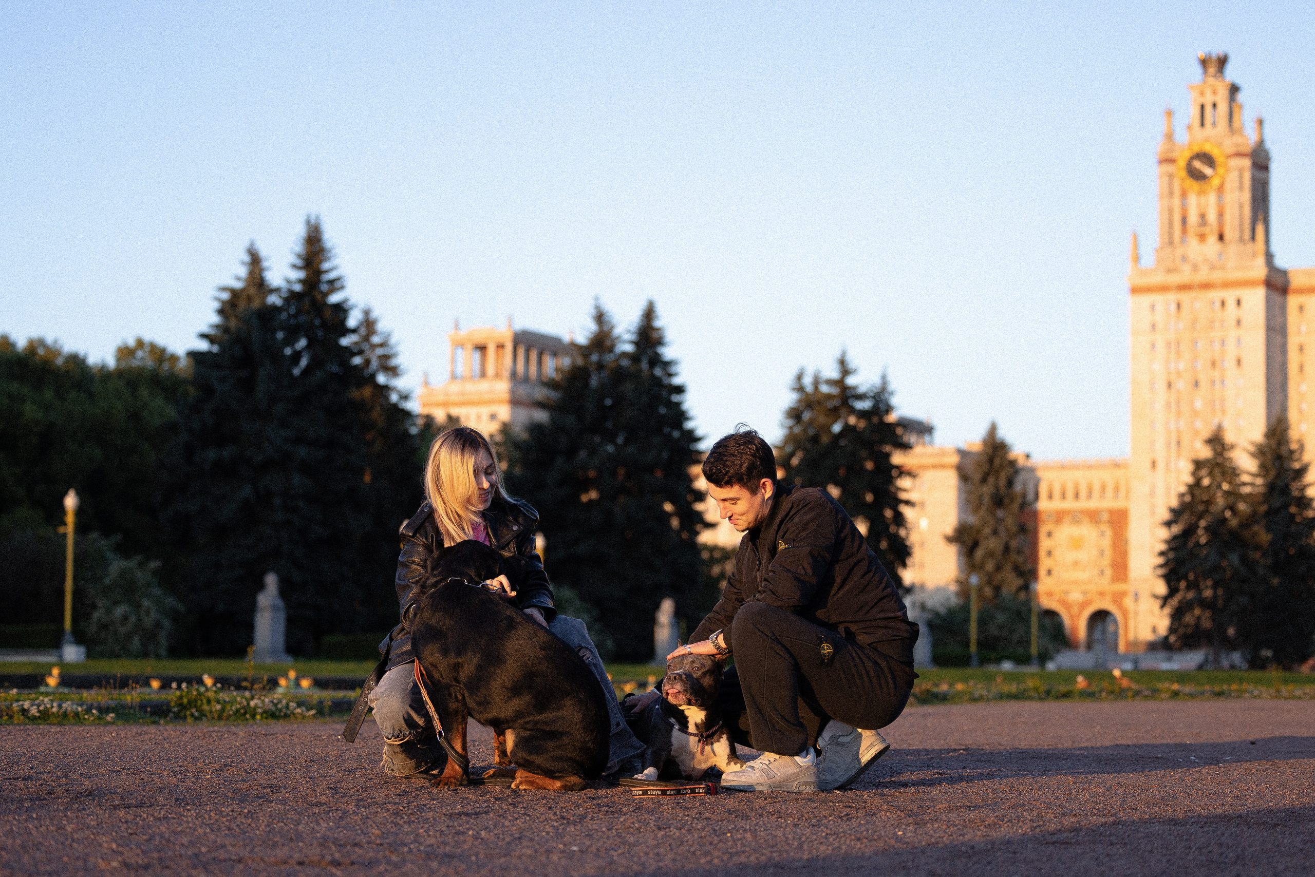 Катя, Леша, Лея и Трой. Фотограф и видеограф анималист Аганина Дарья