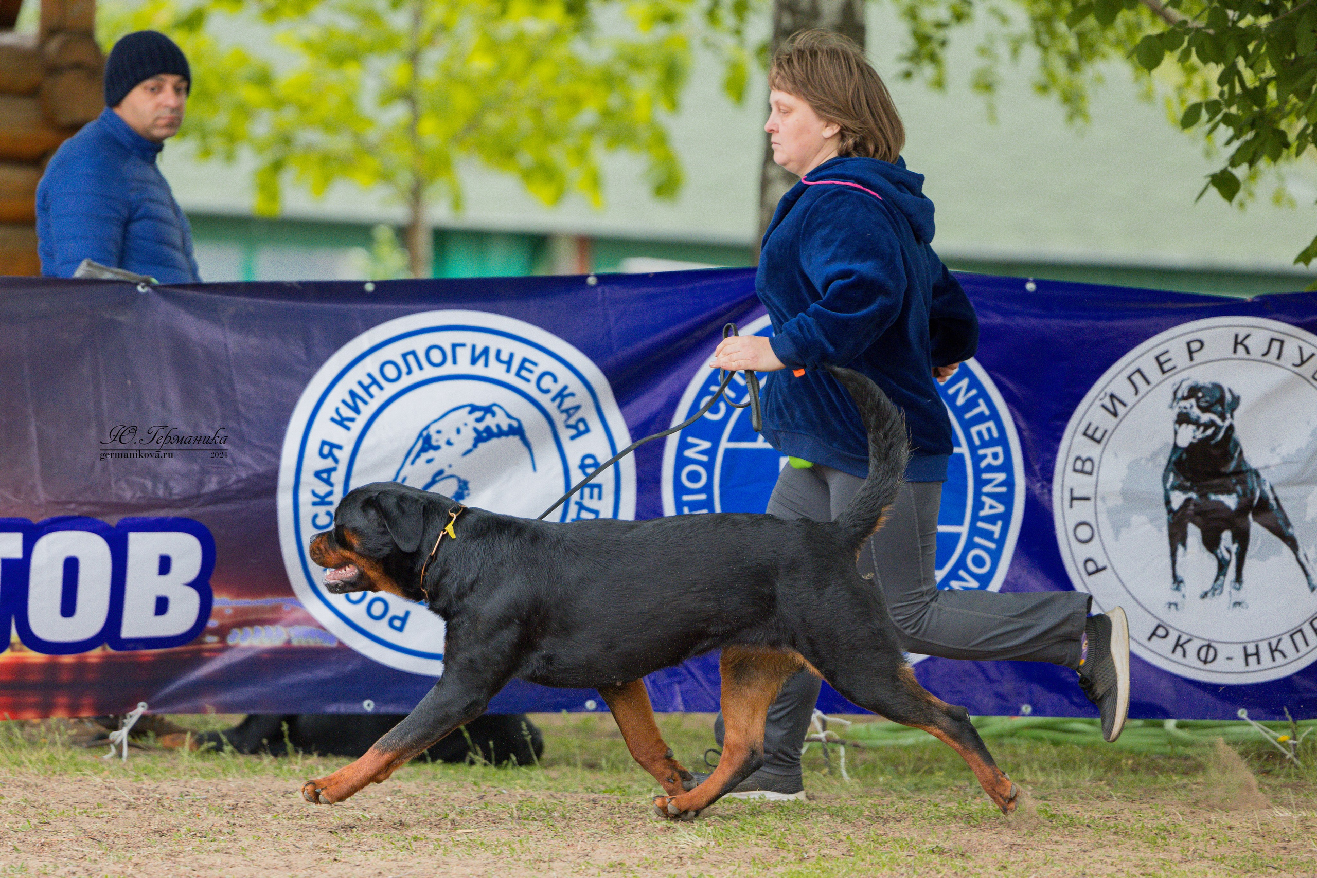 Саратов 2 х моно ротвейлеров 28-29.04.2024. Фотограф-анималист Юлия Германика