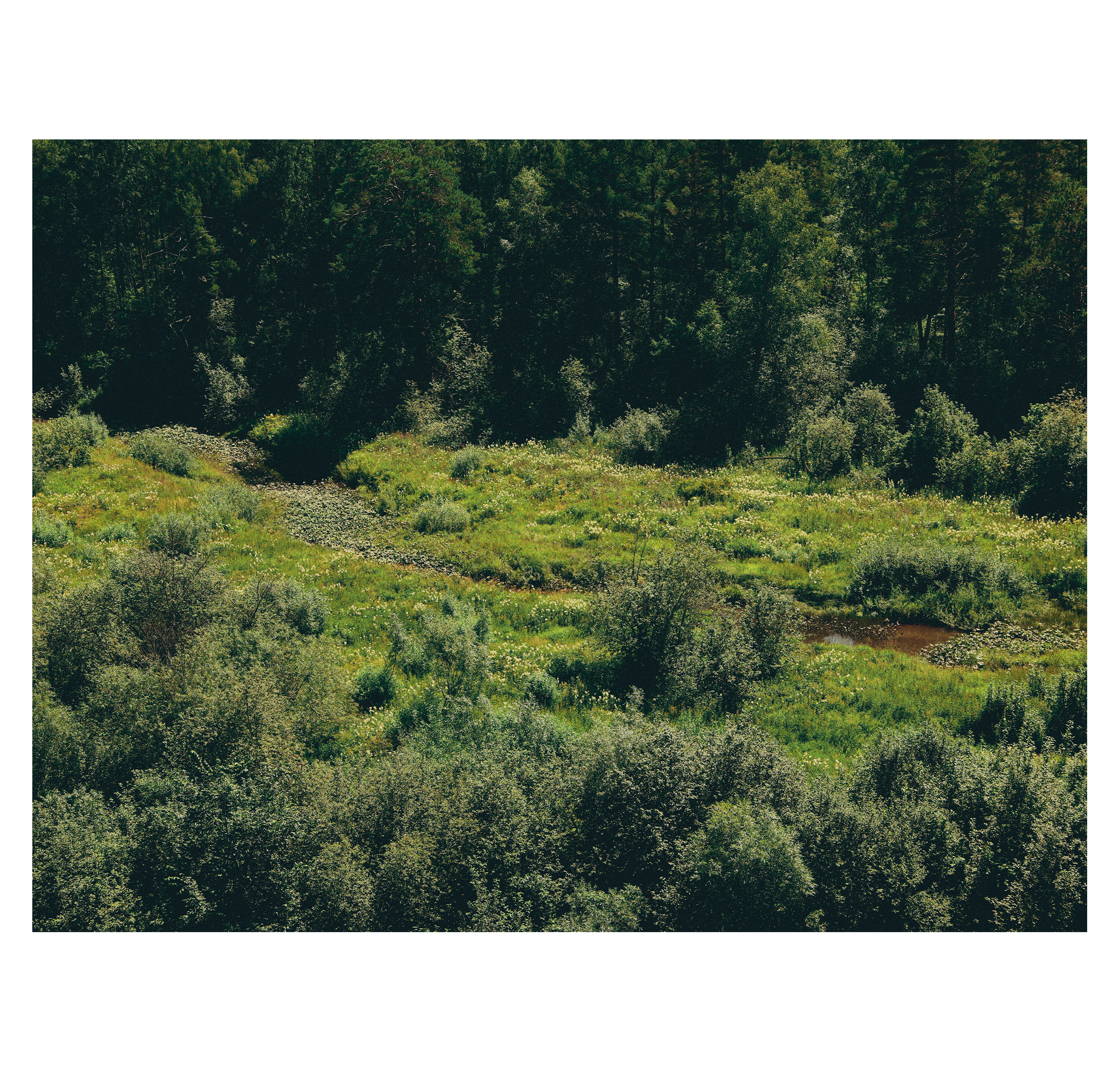 Summer hike. Фотограф/дизайнер в Екатеринбурге Хитрый Дмитрий
