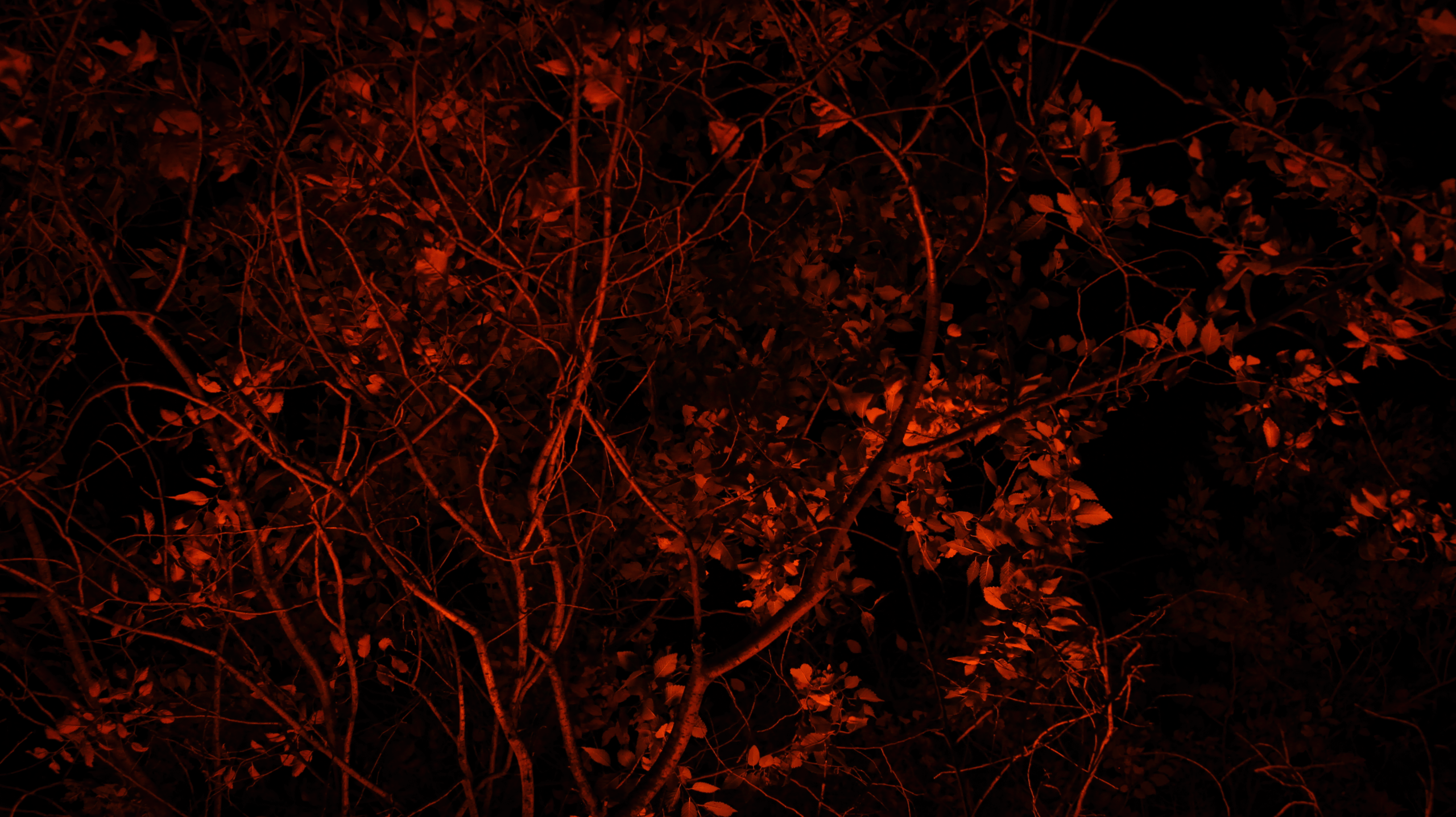 TMN summer '24. Фотограф/дизайнер в Екатеринбурге Хитрый Дмитрий