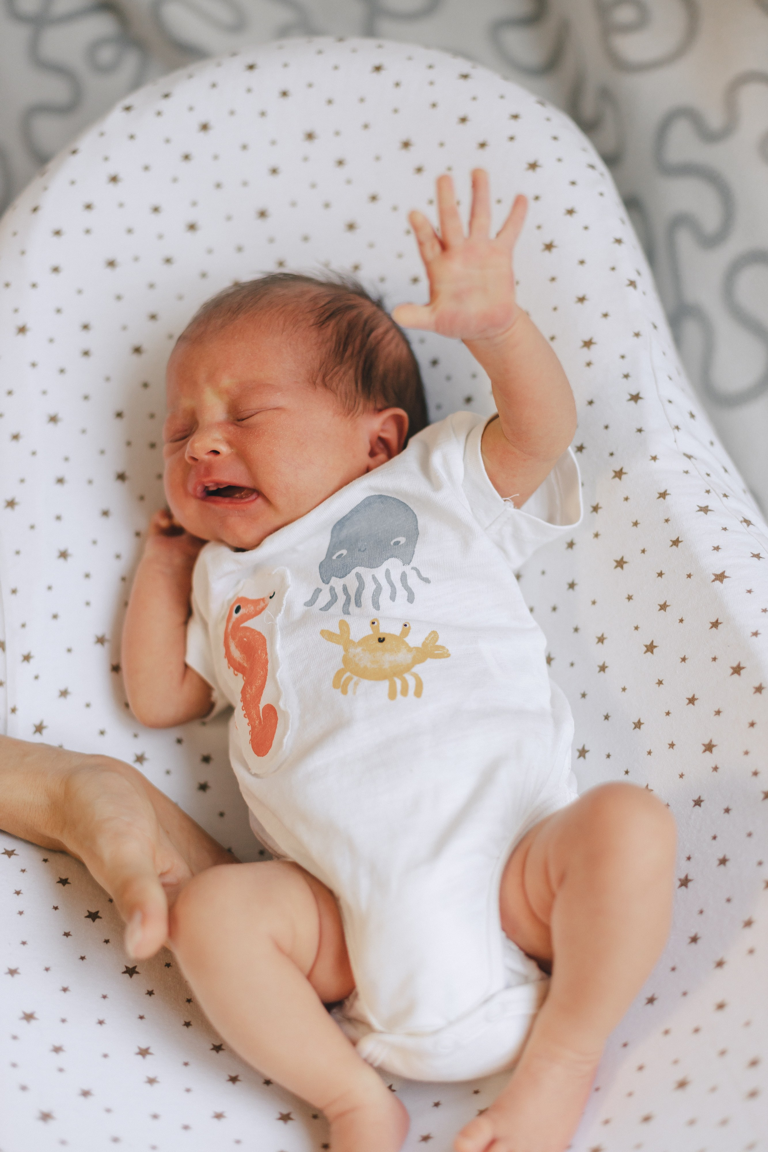 Ира, Леша, Максим и Майя. Фотограф Таганрог Любимая Надя