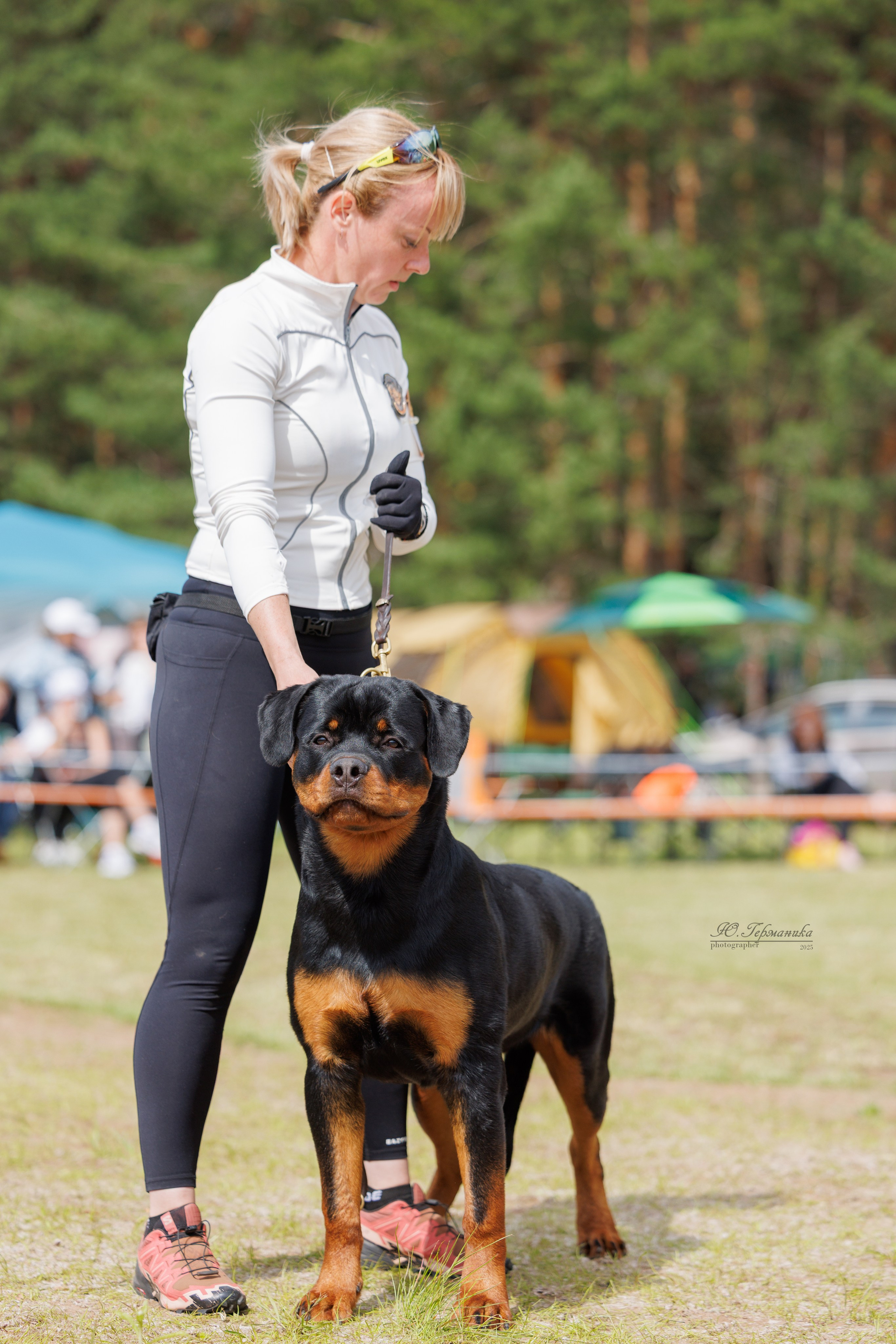 Тверь ротвейлеры 5-6.07.2025. Фотограф-анималист Юлия Германика