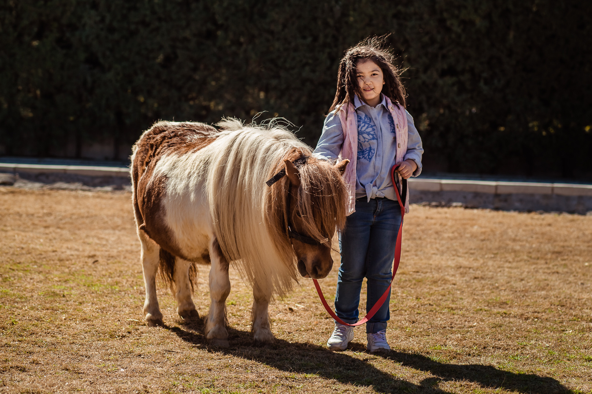 Family photo session on a farm in Urla
