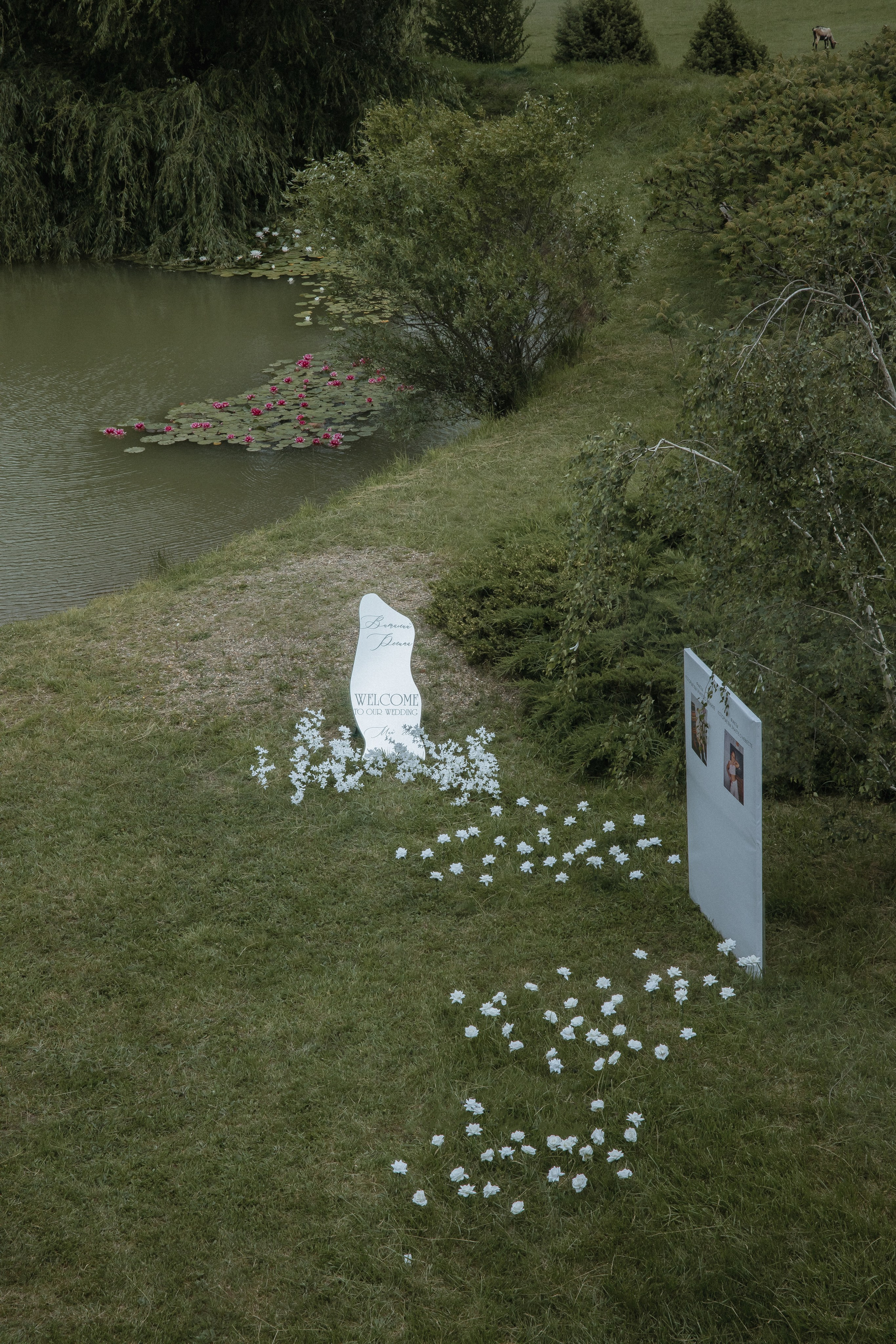 Регина и Виталий. Свадебный и семейный фотограф в Анапе/Новороссийске Виктория Чайка