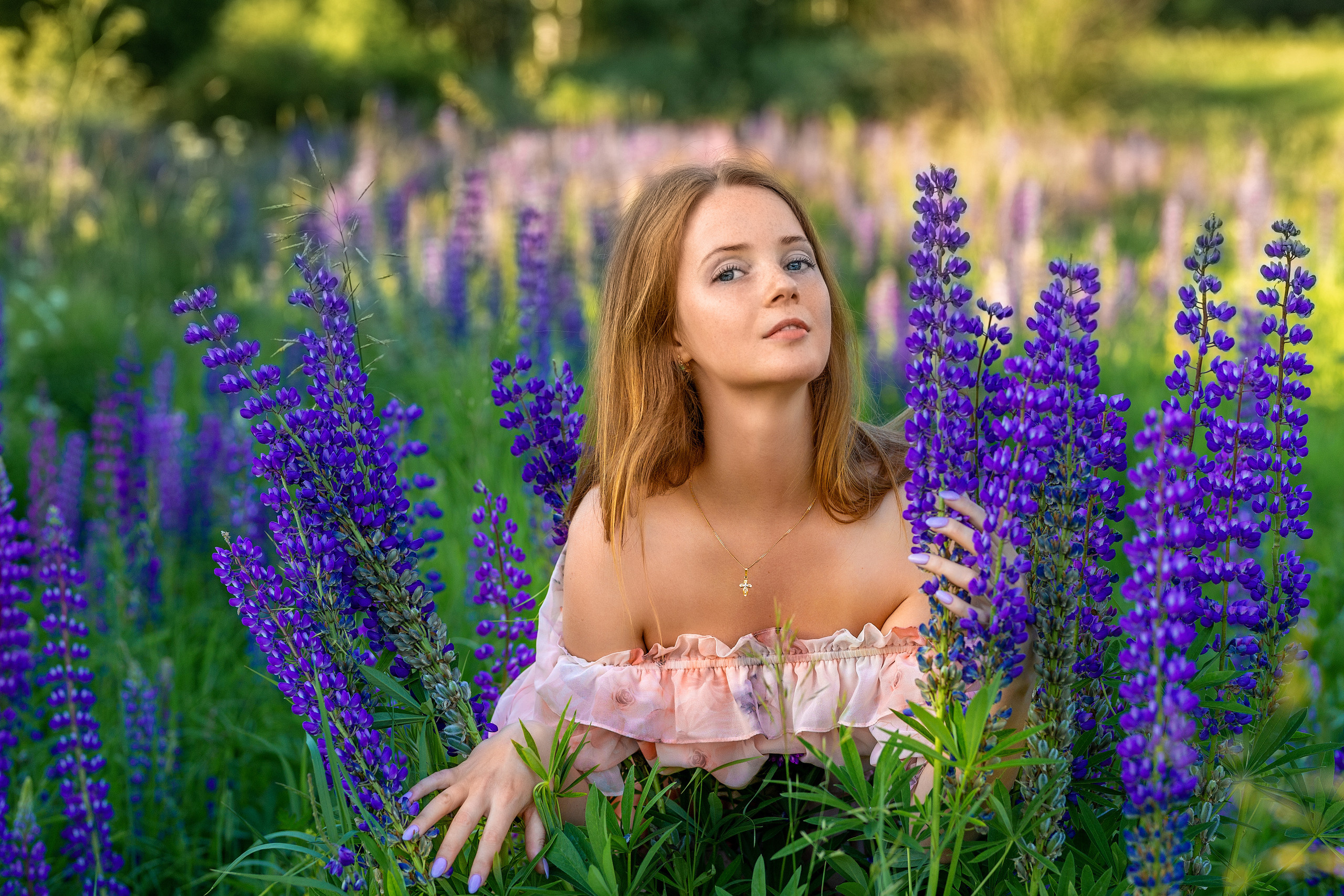 Люпины. Фотограф Павел Шрайбикус