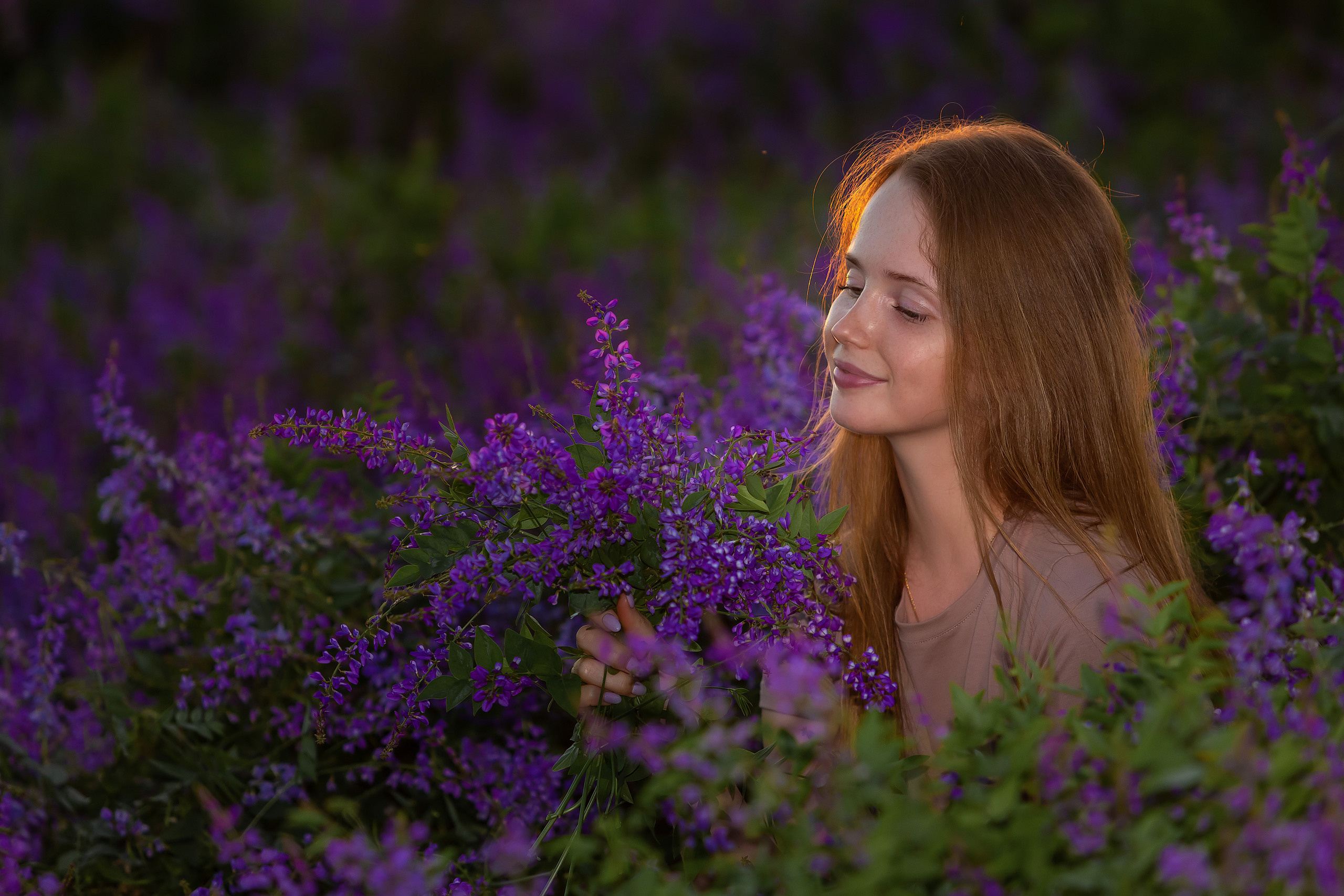 Люпины. Фотограф Павел Шрайбикус