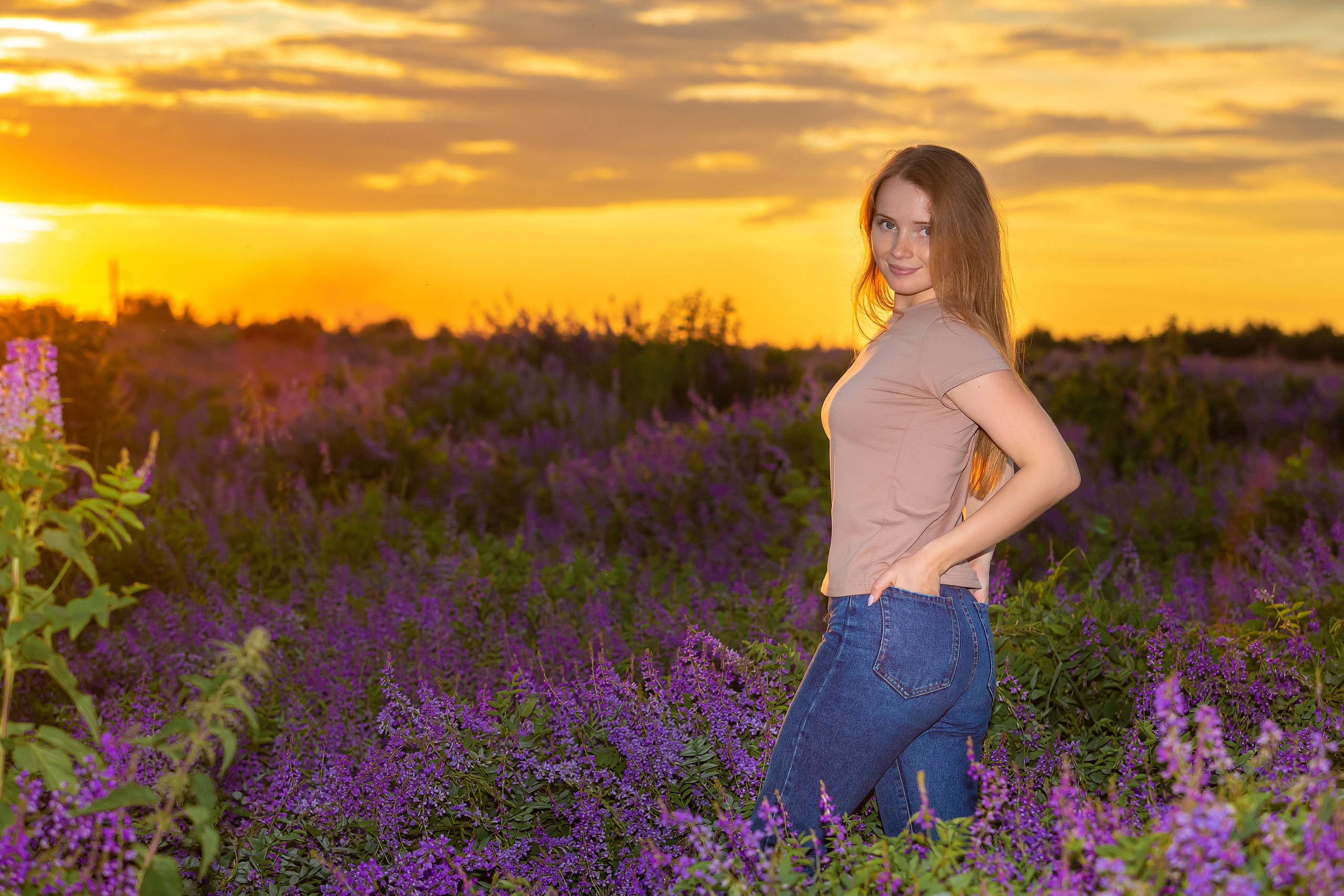 Люпины. Фотограф Павел Шрайбикус