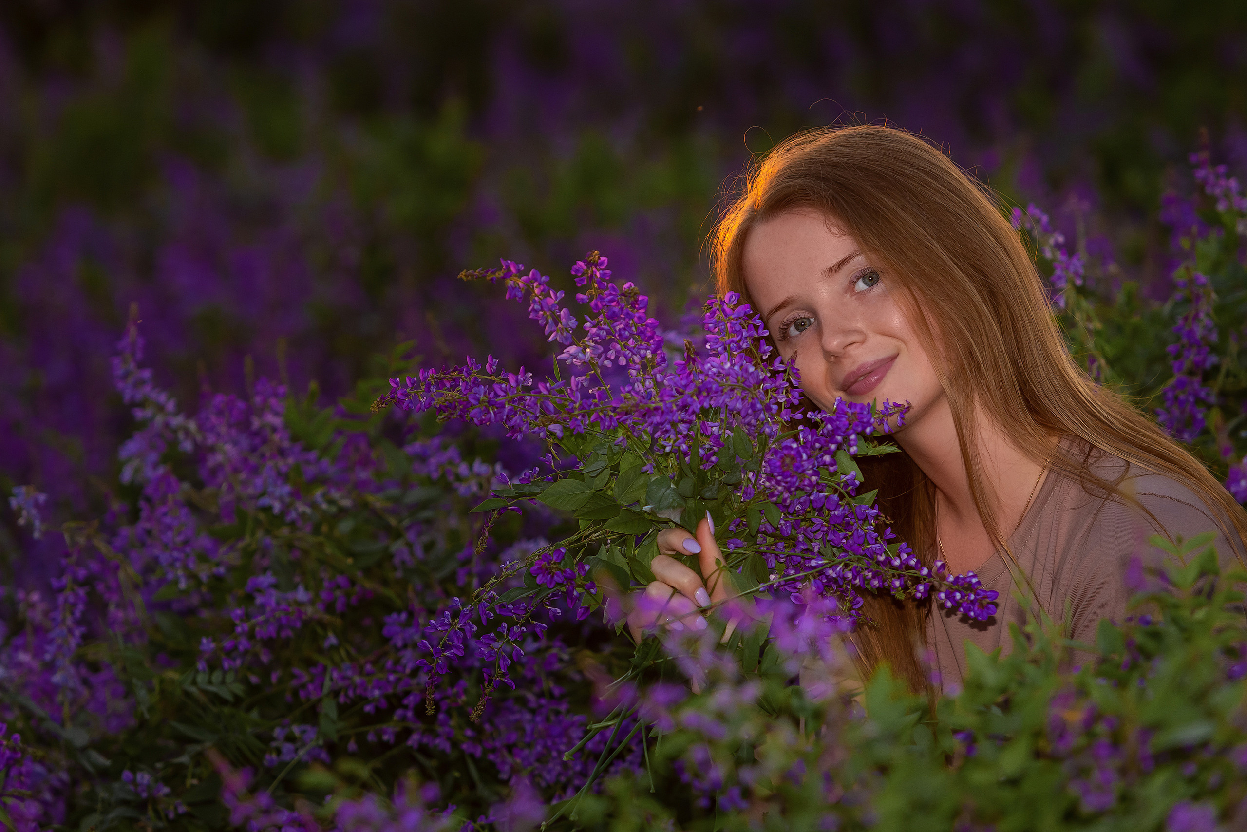 Люпины. Фотограф Павел Шрайбикус