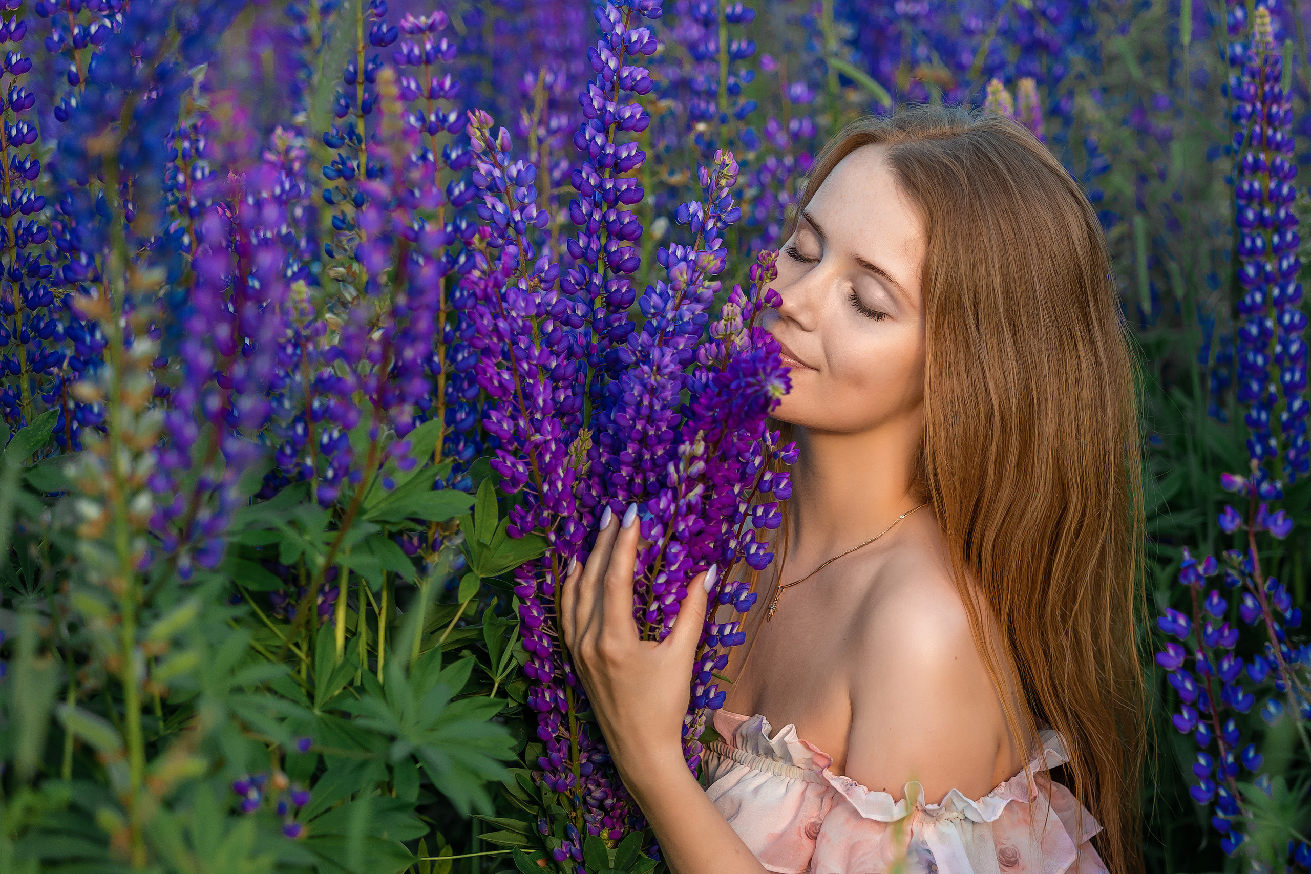 Люпины. Фотограф Павел Шрайбикус