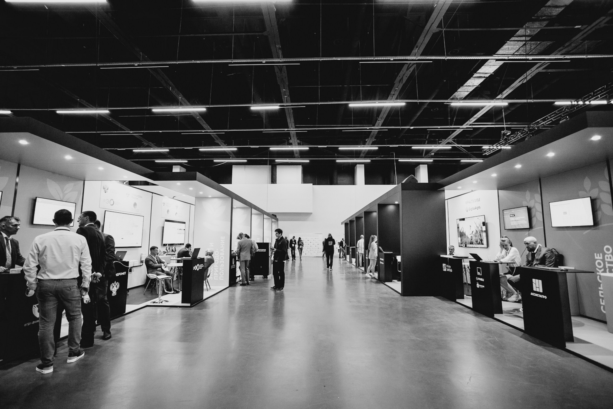 ЦИПР. LEVORIGINAL