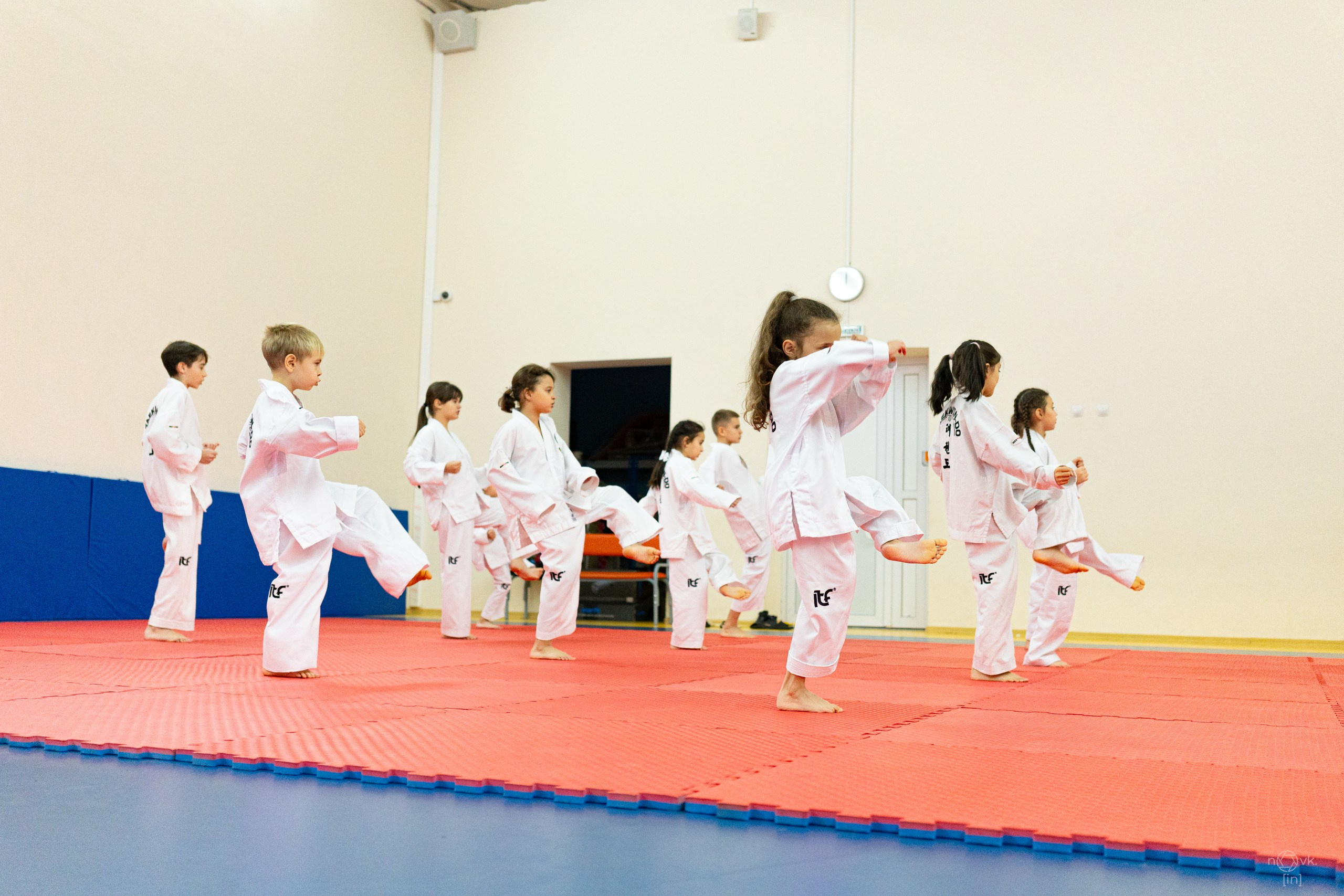 Аттестация Тхэкво. ФОТОГРАФ ИВАН НОВИКОВ | СТАВРОПОЛЬ