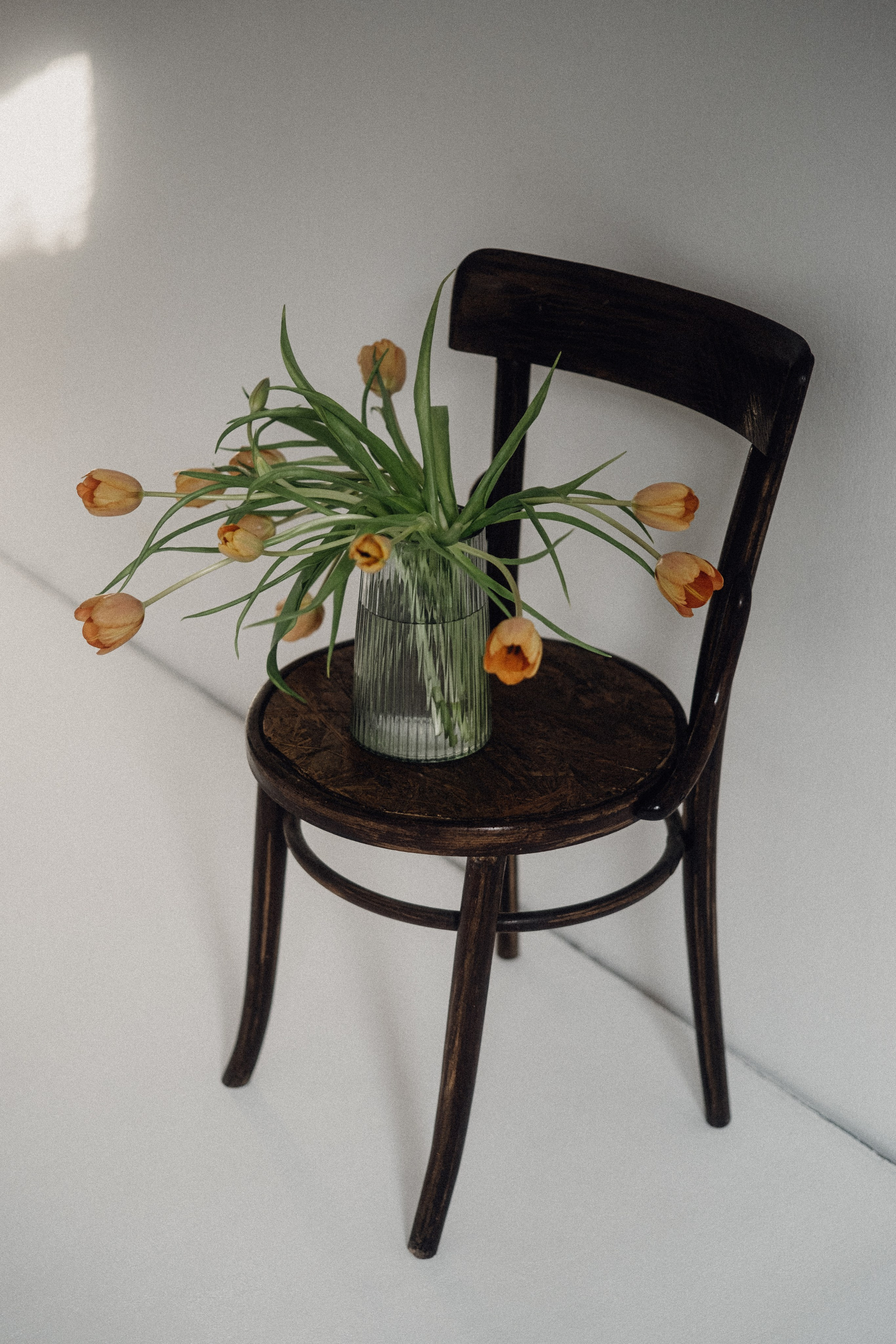 Scenografije i rekviziti. Studio GOBO