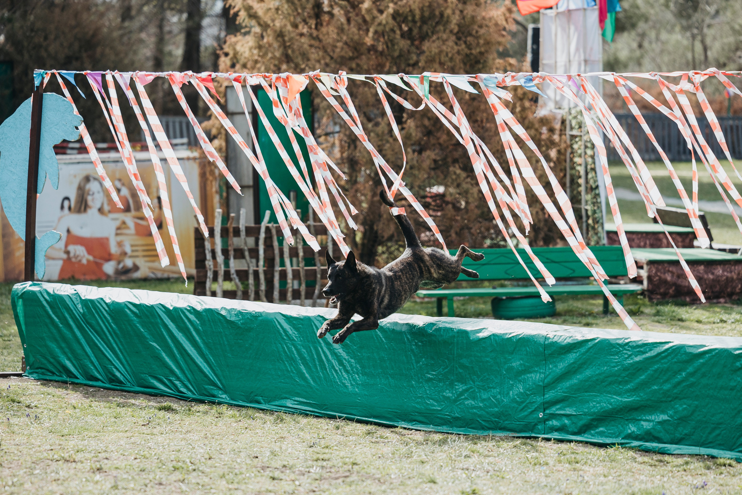 Геленджик Мондьоринг. Фотограф-анималист Анна Маринич