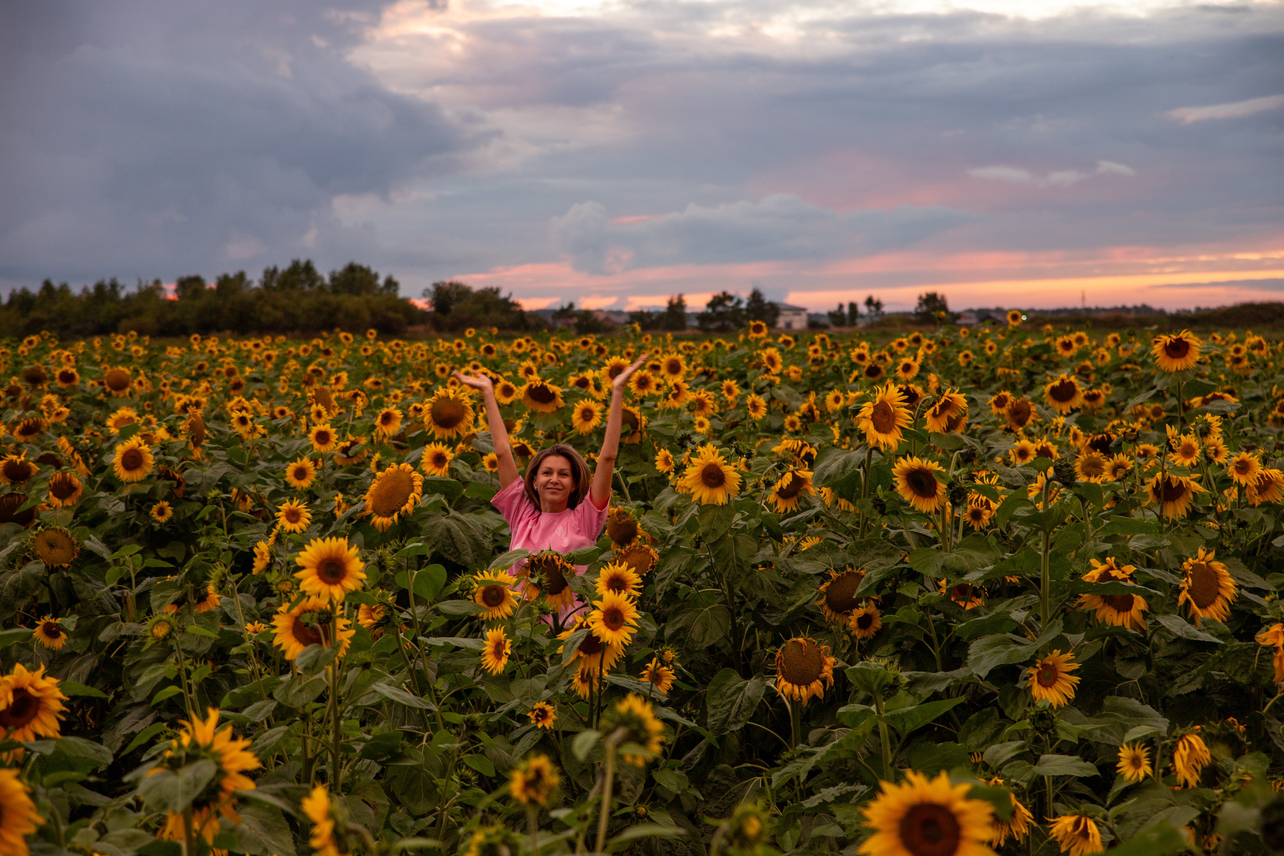 Фотосет в подсолнухах. Оксана. Фотограф Лапочкина Татьяна