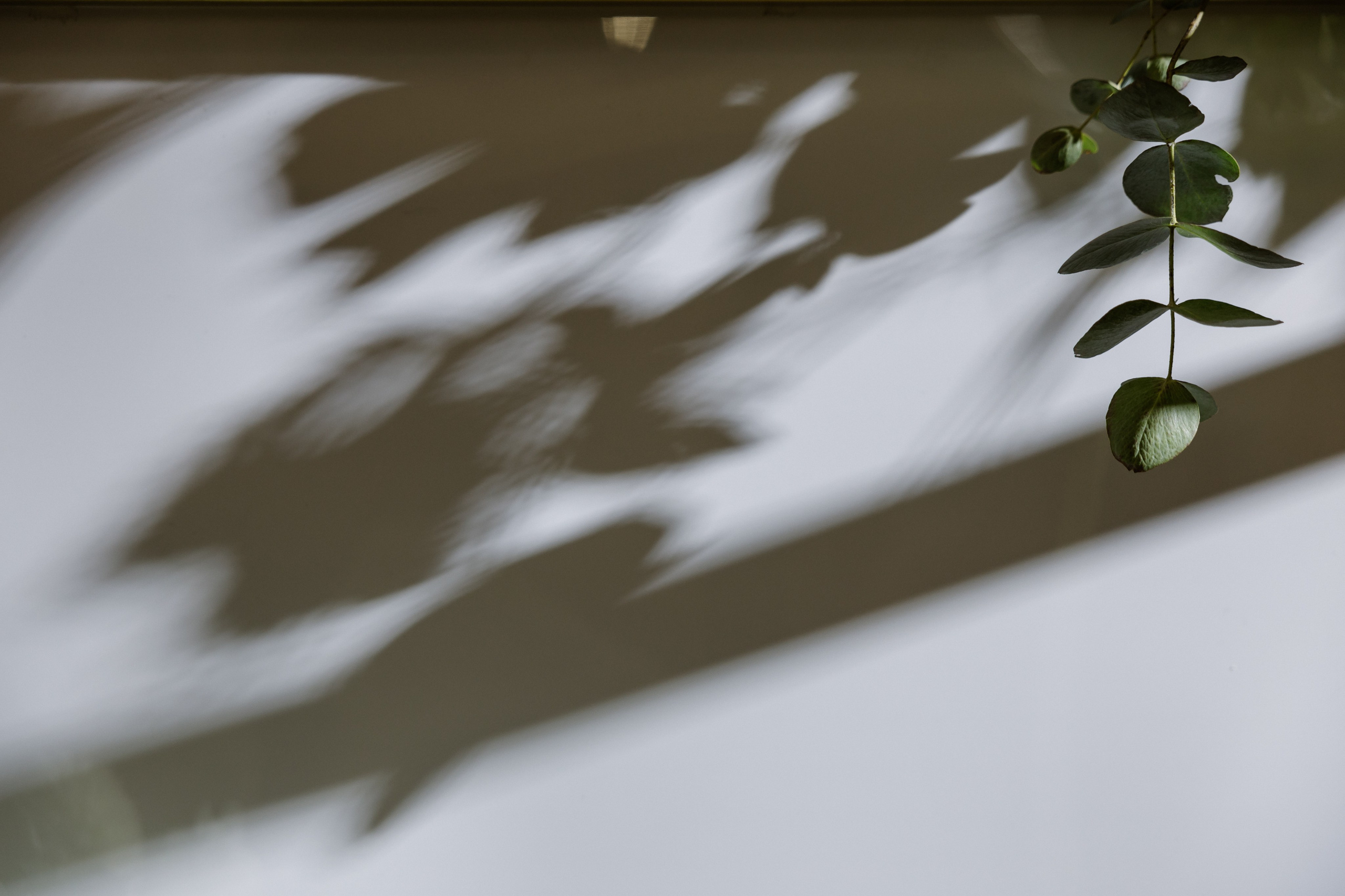 Захар & Алена. RETOUCH-HOUSE