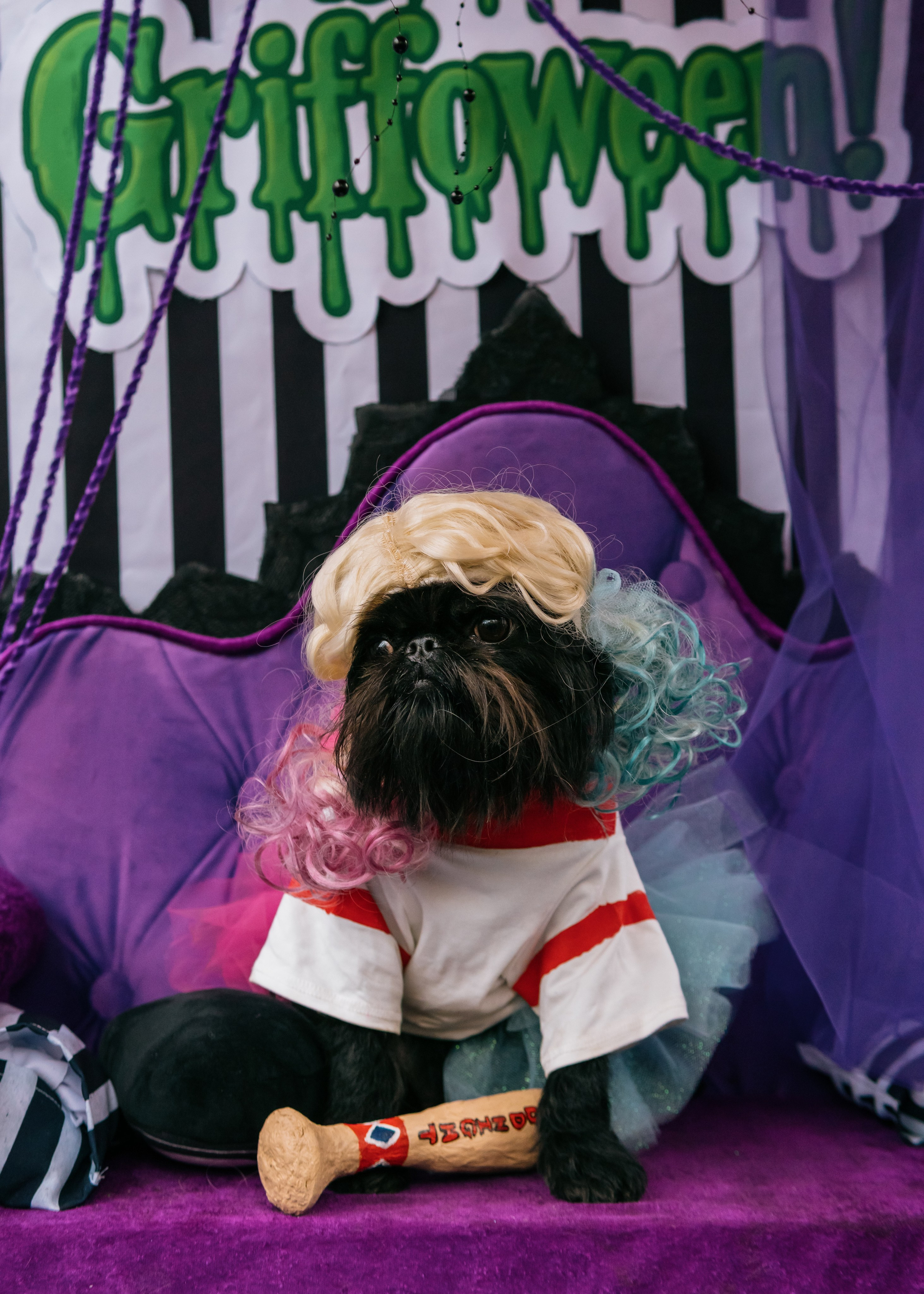 Тематическая встреча породников «Griffween». Фотограф-анималист Ксения Воробьева, Москва