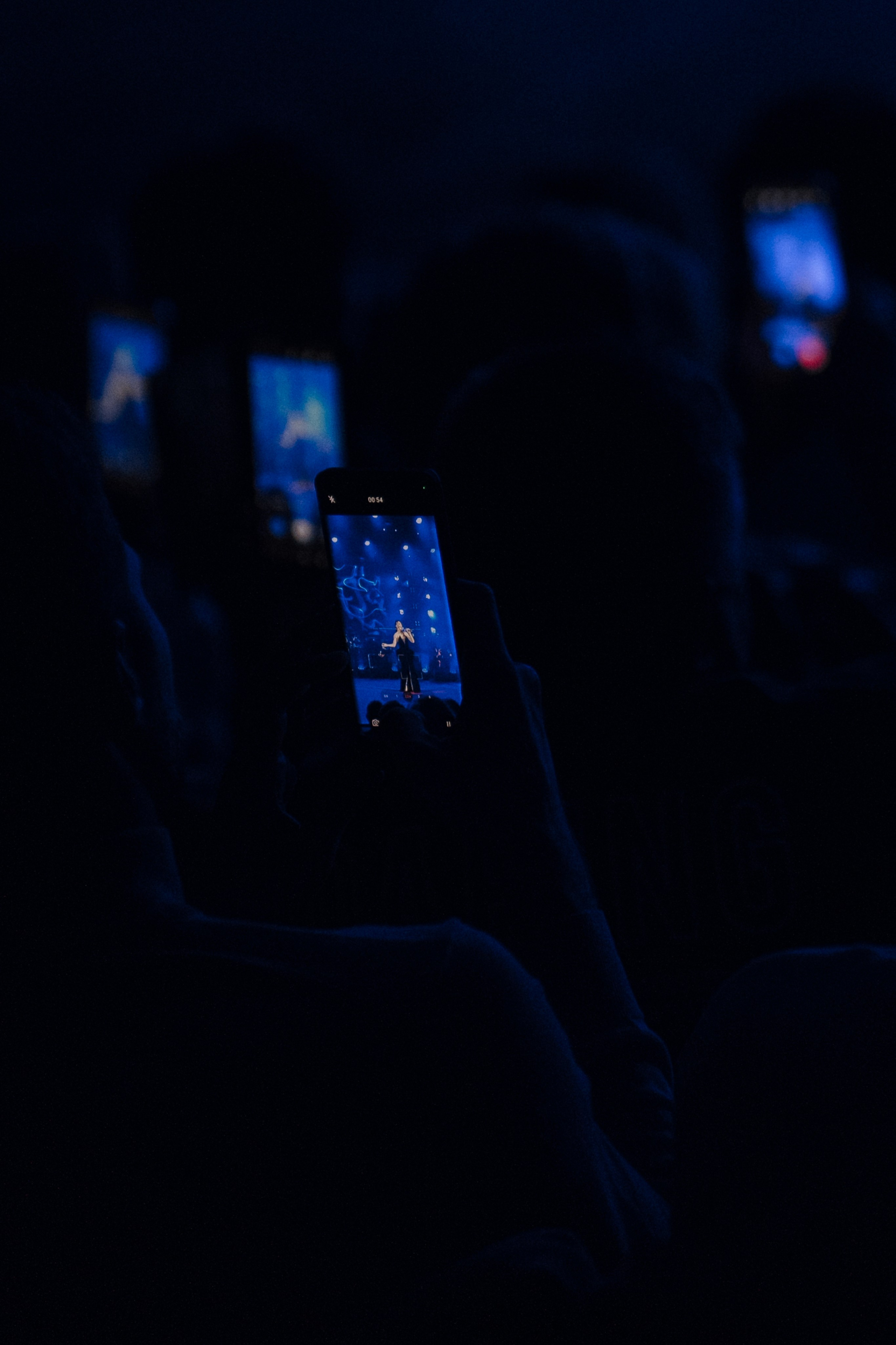 Концерт «ТИТРЫ»: Рита Ричи и оркестр Ильи Филиппова 15.02.25. Свадебный фотограф в Краснодаре и Сочи Винидиктова Екатерина