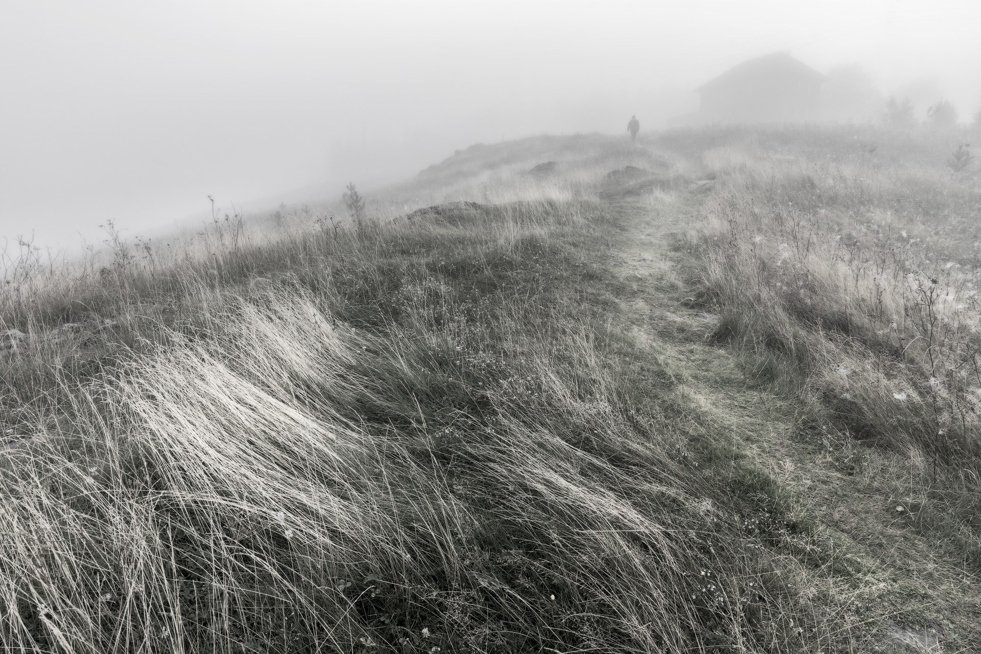 На горе Заводская