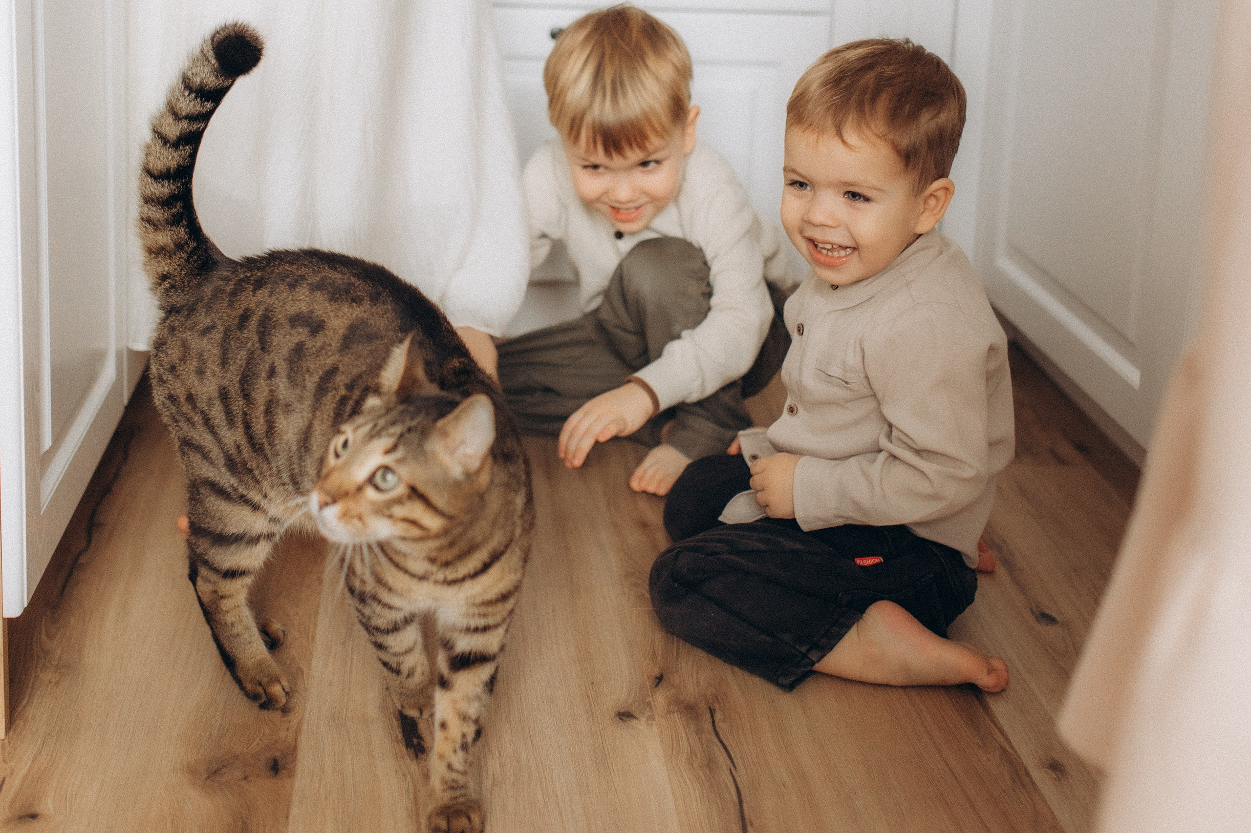 История большой семьи. Семейный фотограф lifestyle в Новосибирске Елена Шпилевая