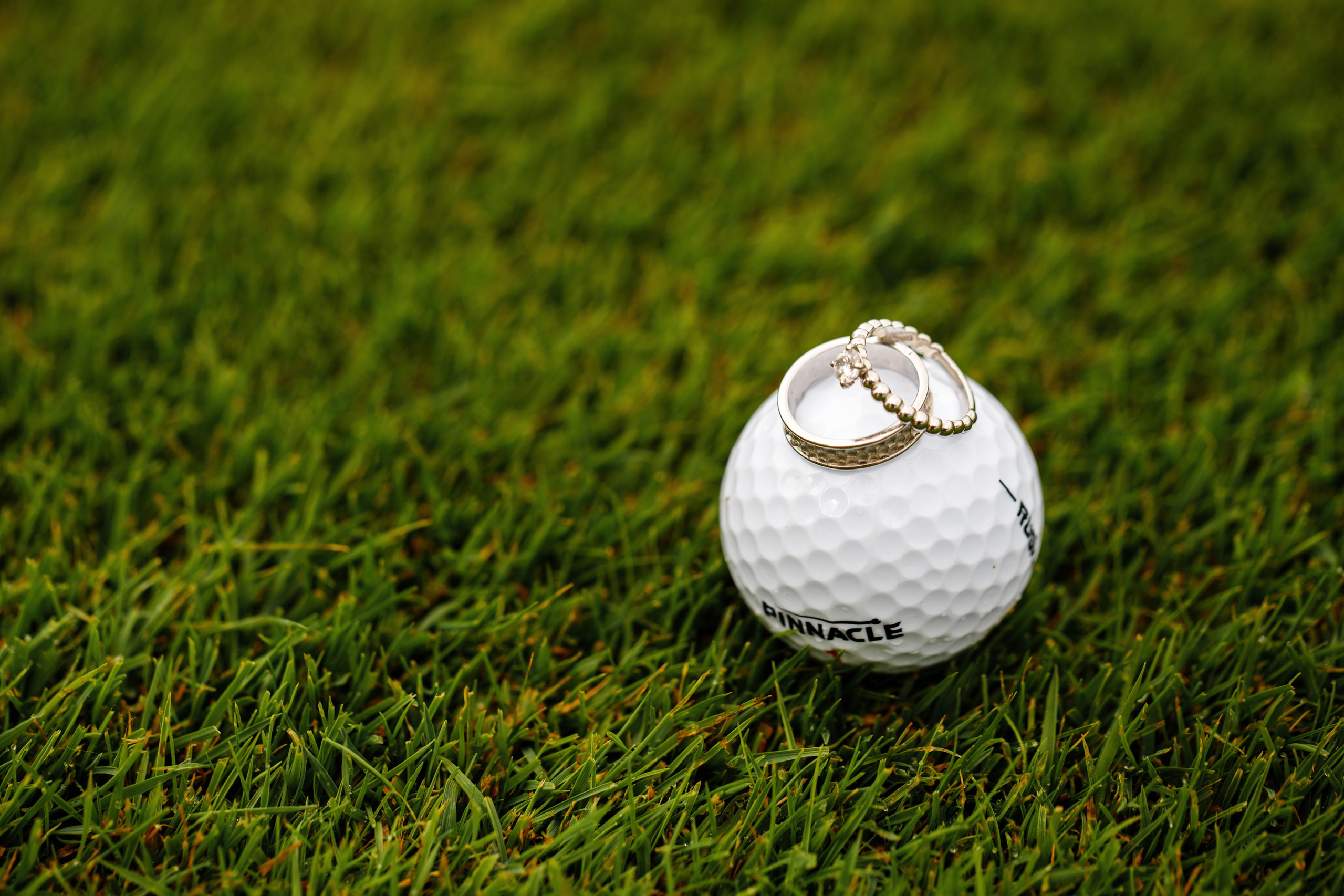 Там где много воздуха и свободы. Александр Щербаков, фотограф Москва