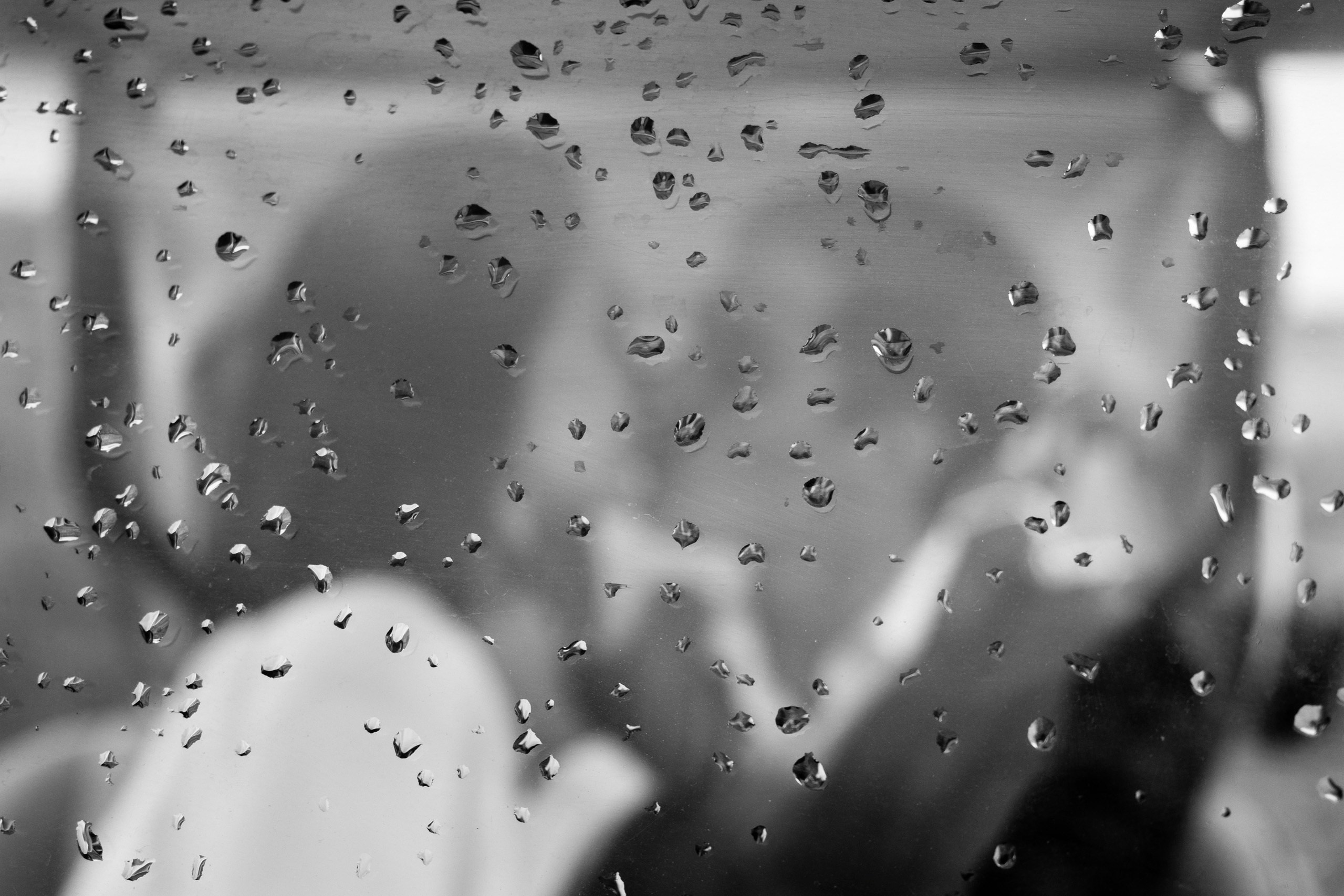 Там где много воздуха и свободы. Александр Щербаков, фотограф Москва