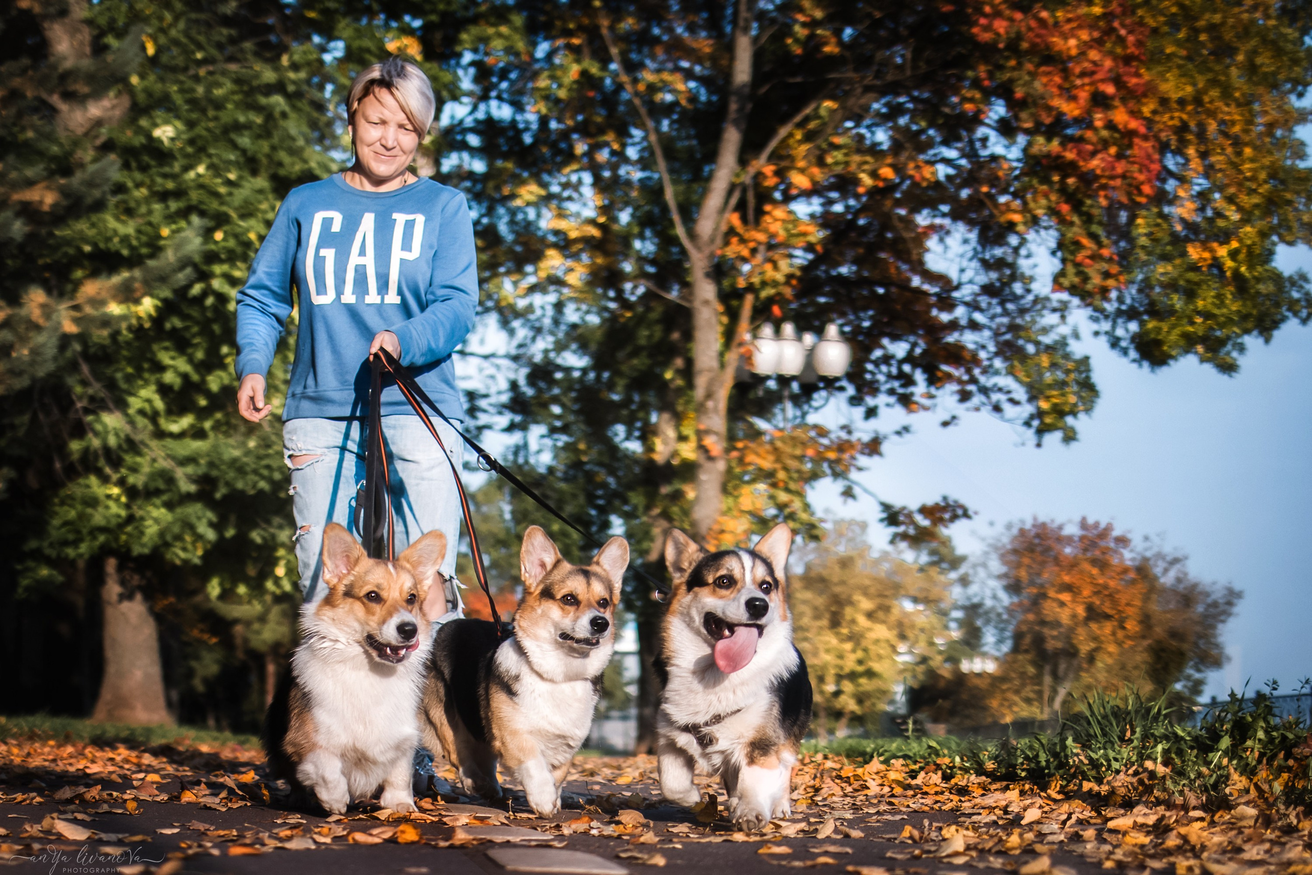 Коржики на Набережной. Фотограф анималист Аня Ливанова | Рыбинск