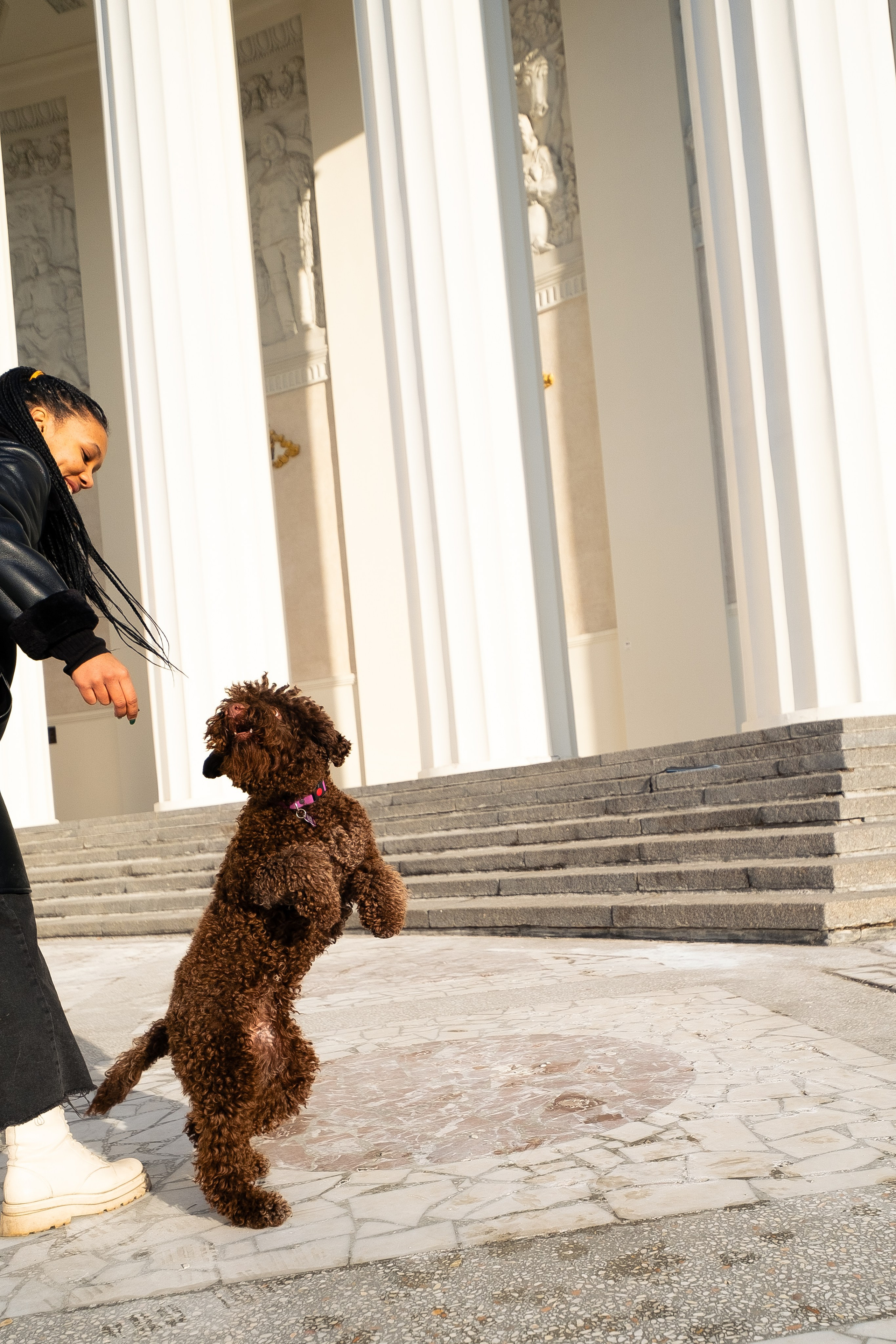 Тьеринна и Миша. Фотограф и видеограф анималист Аганина Дарья