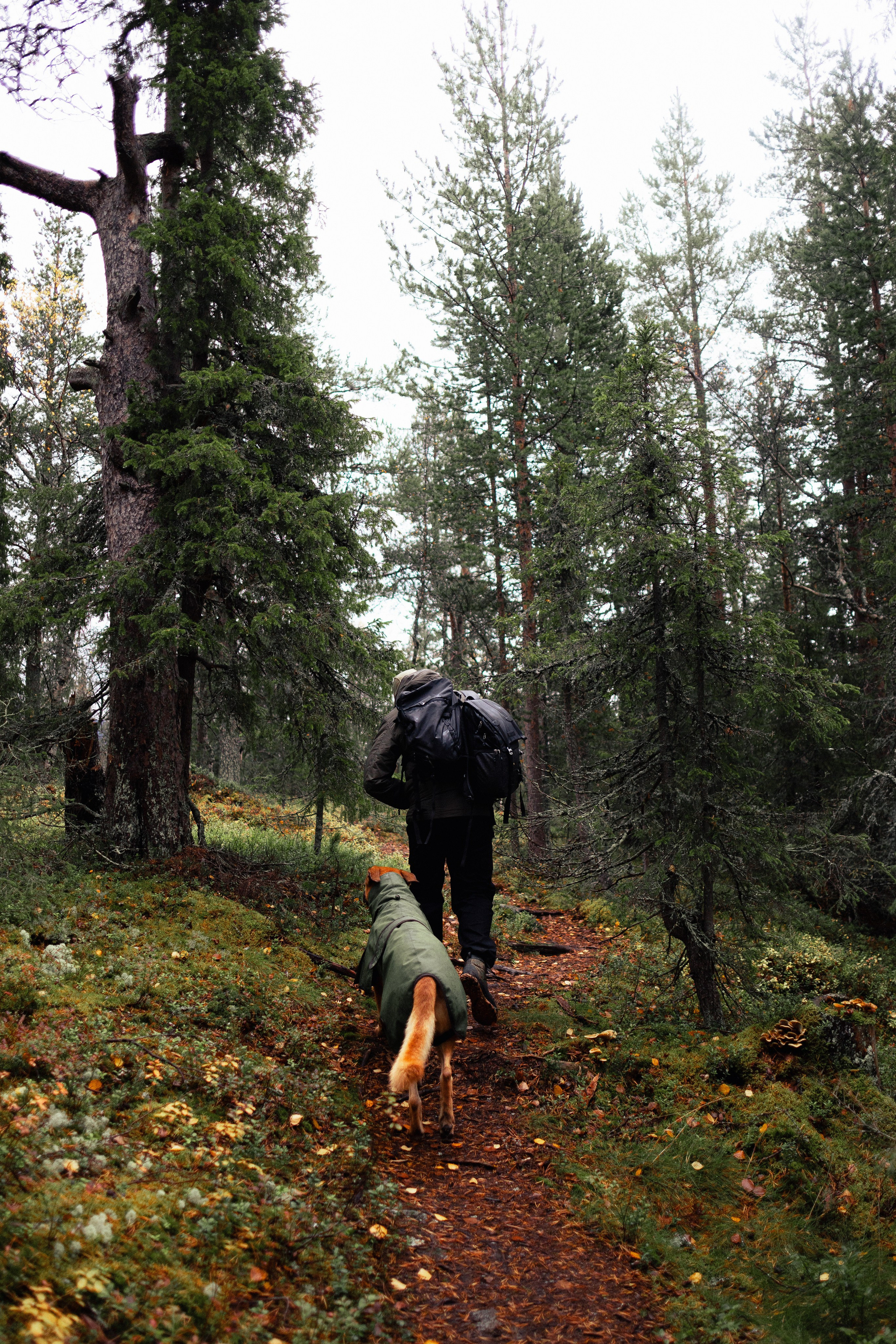 Кольский. Фотограф и видеограф анималист Аганина Дарья