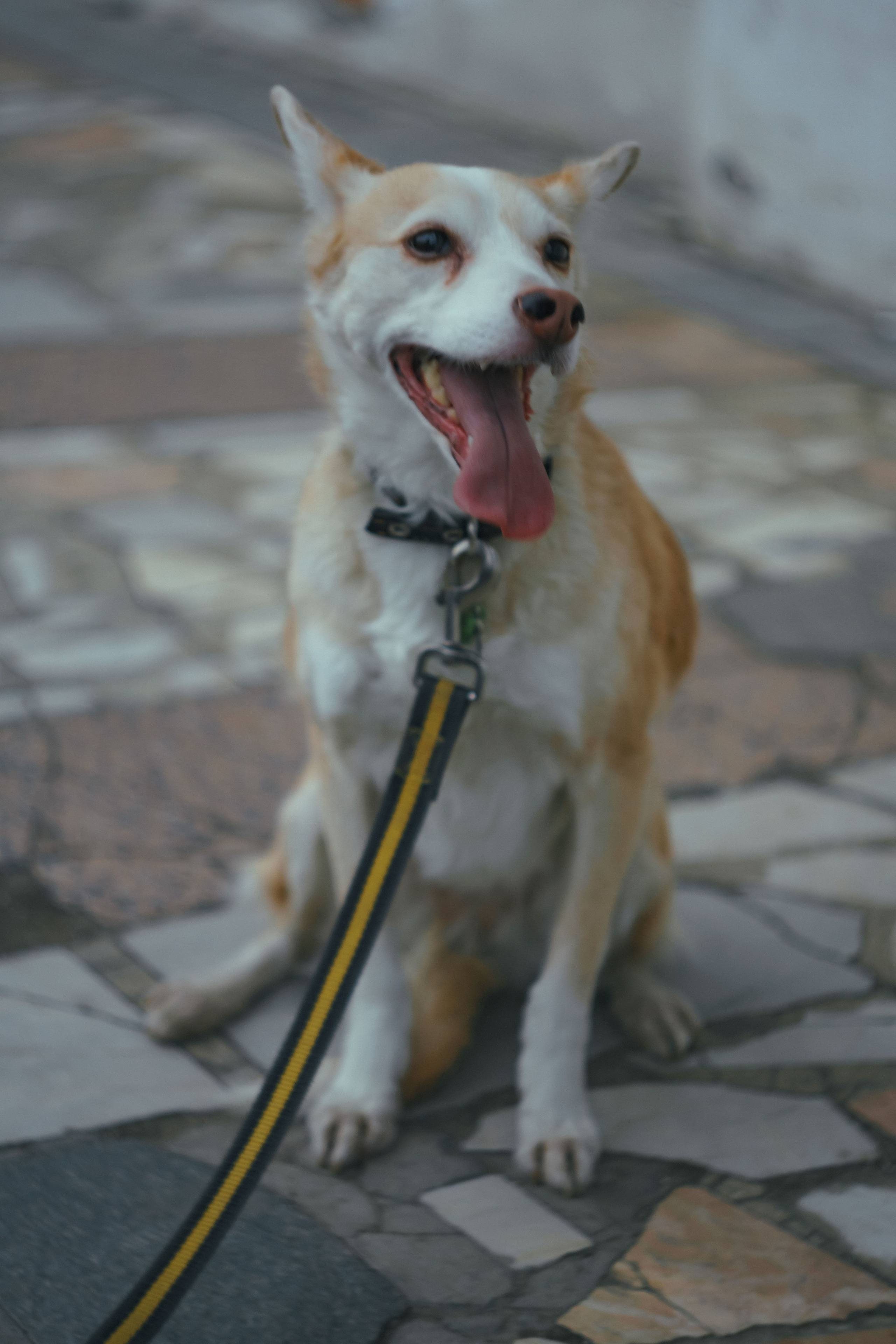 Соня. Фотограф в Кстово и Нижнем Новгороде KOLOSOK
