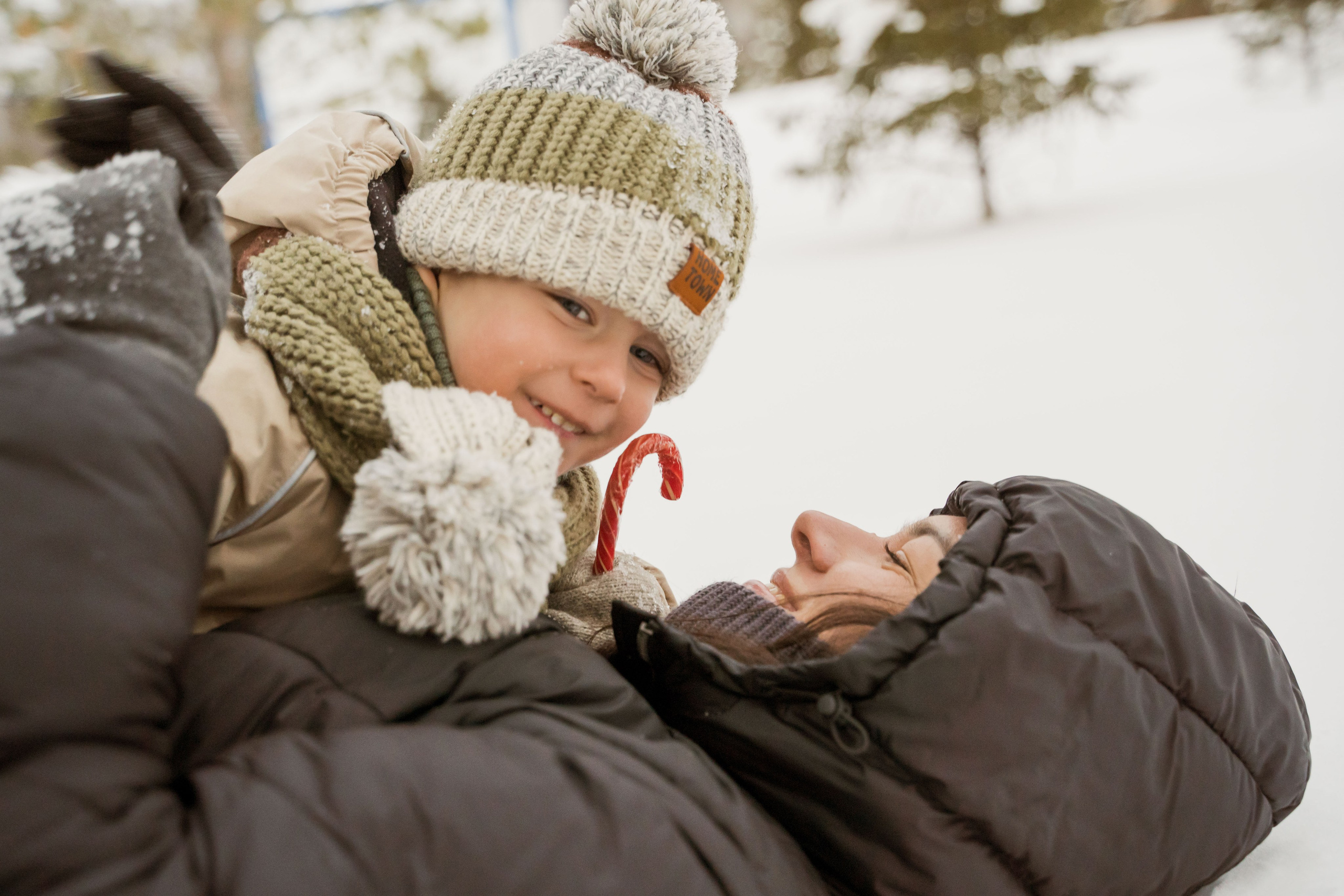 Зимняя прогулка. Главная