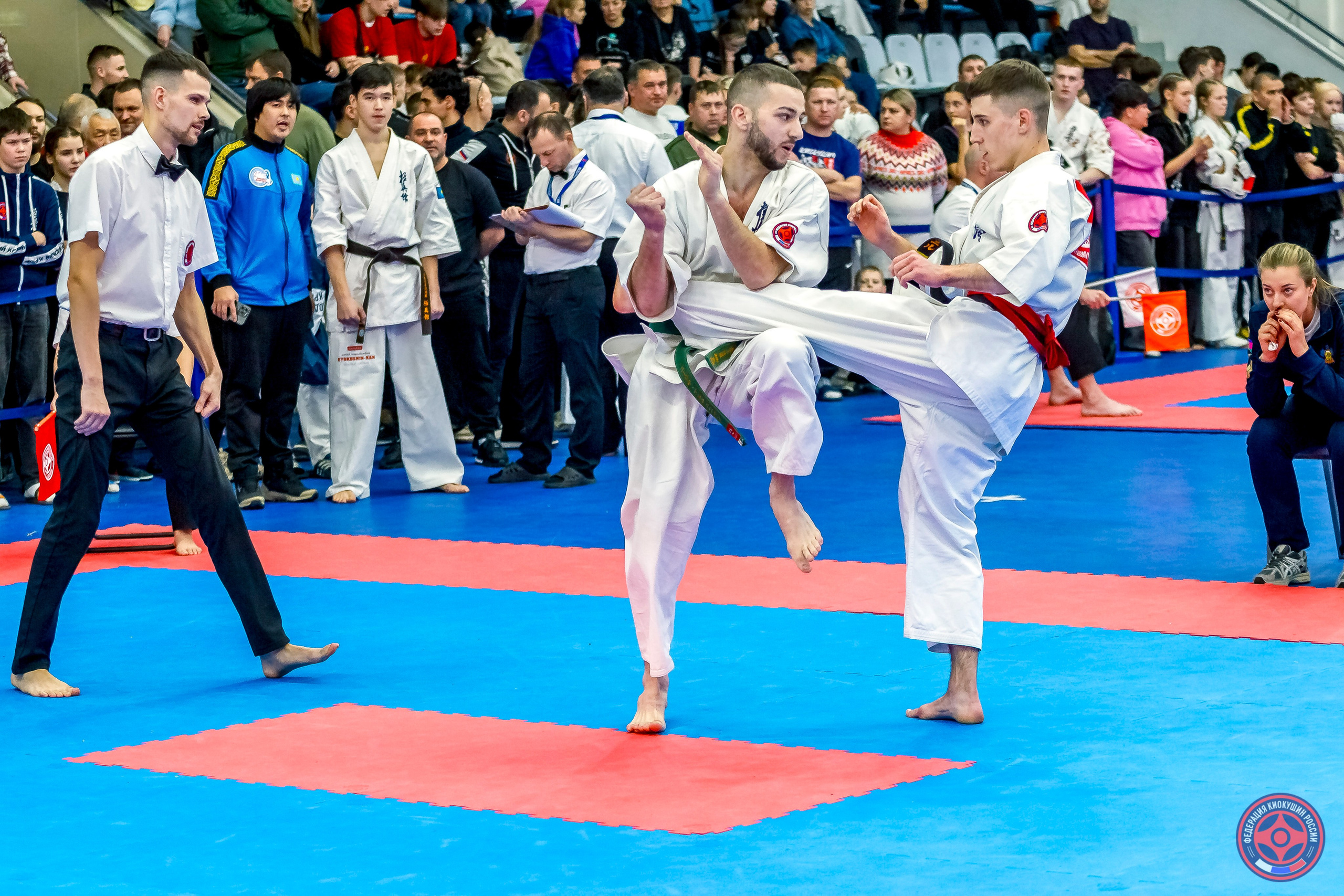 Международный турнир по киокушин «Открытый кубок Seiken». Репортажная съемка в Москве и области. Анималистика