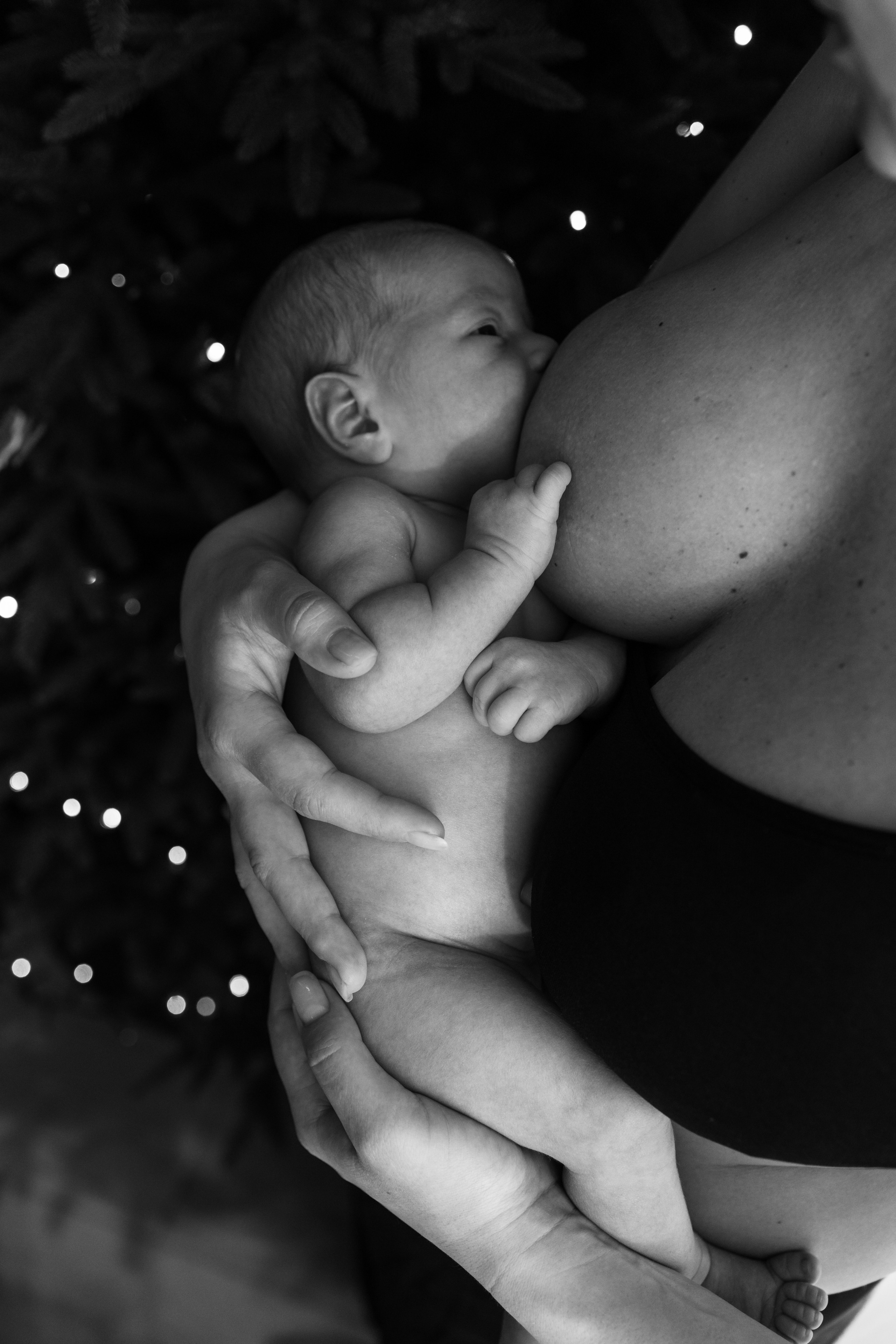 Гордей. Фотограф Новосибирск