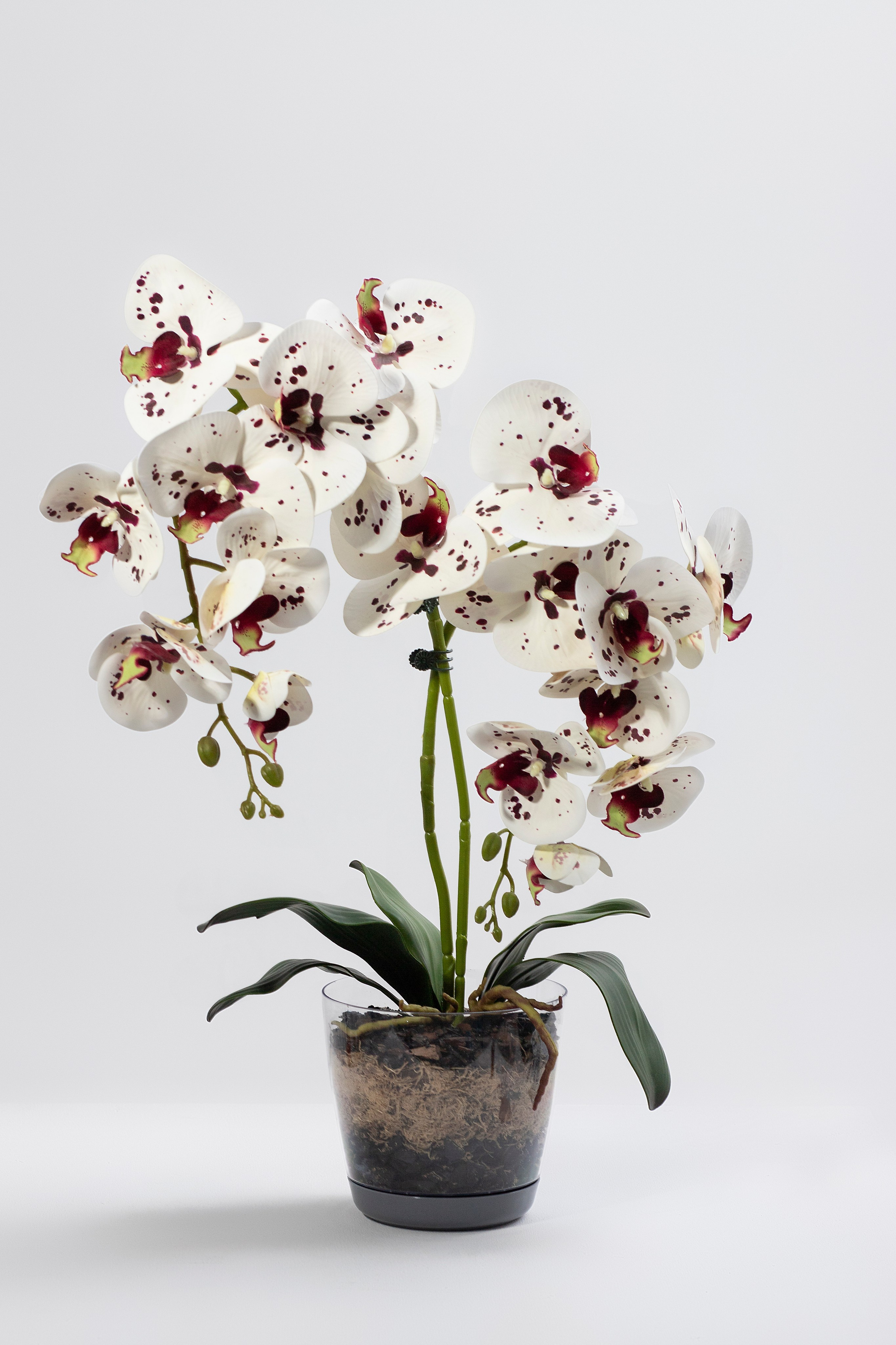 Маркетплейс. Фотограф Пушкино и Москва Анастасия Коган