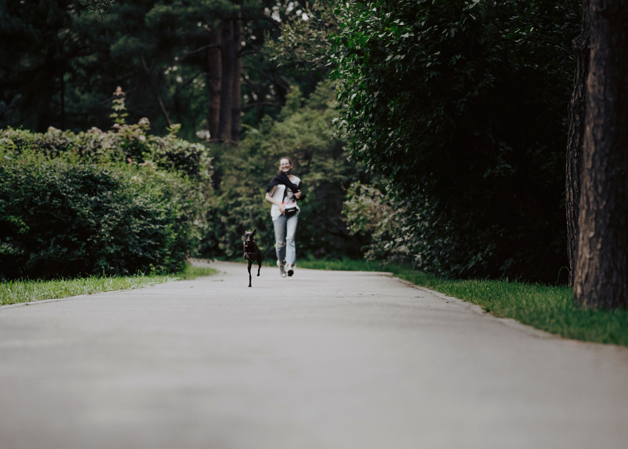 Дофи. Фотограф- анималист Александра Матвеева