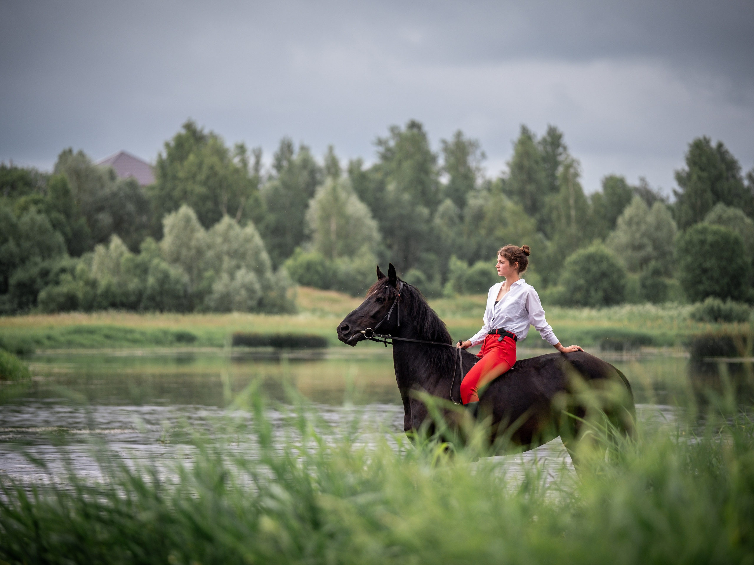 Люди и лошади!. Зоофотограф, фотограф животных в Москве и области Дина Дамоцева
